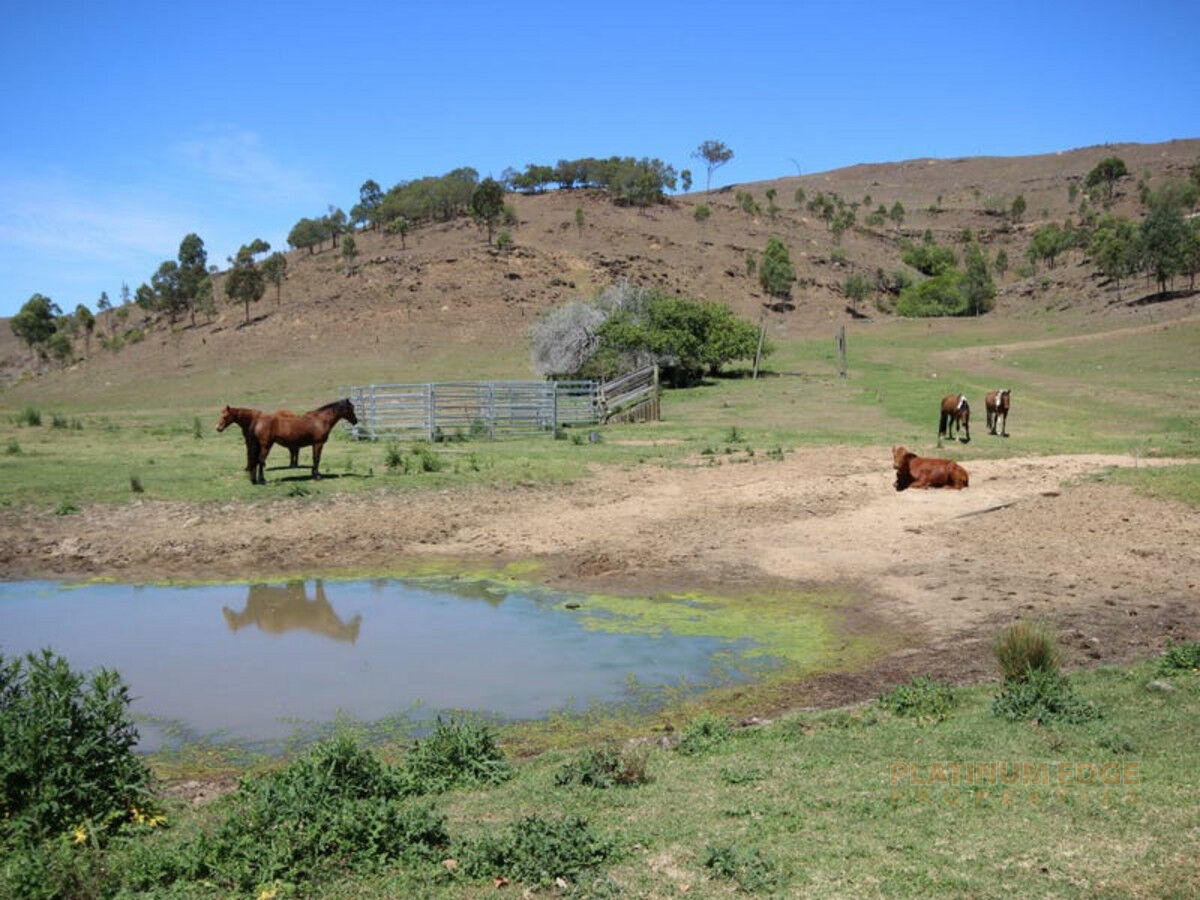 Lot 23 Kooralbyn Road, LARAVALE QLD 4285, Laravale - Thumbnail 6