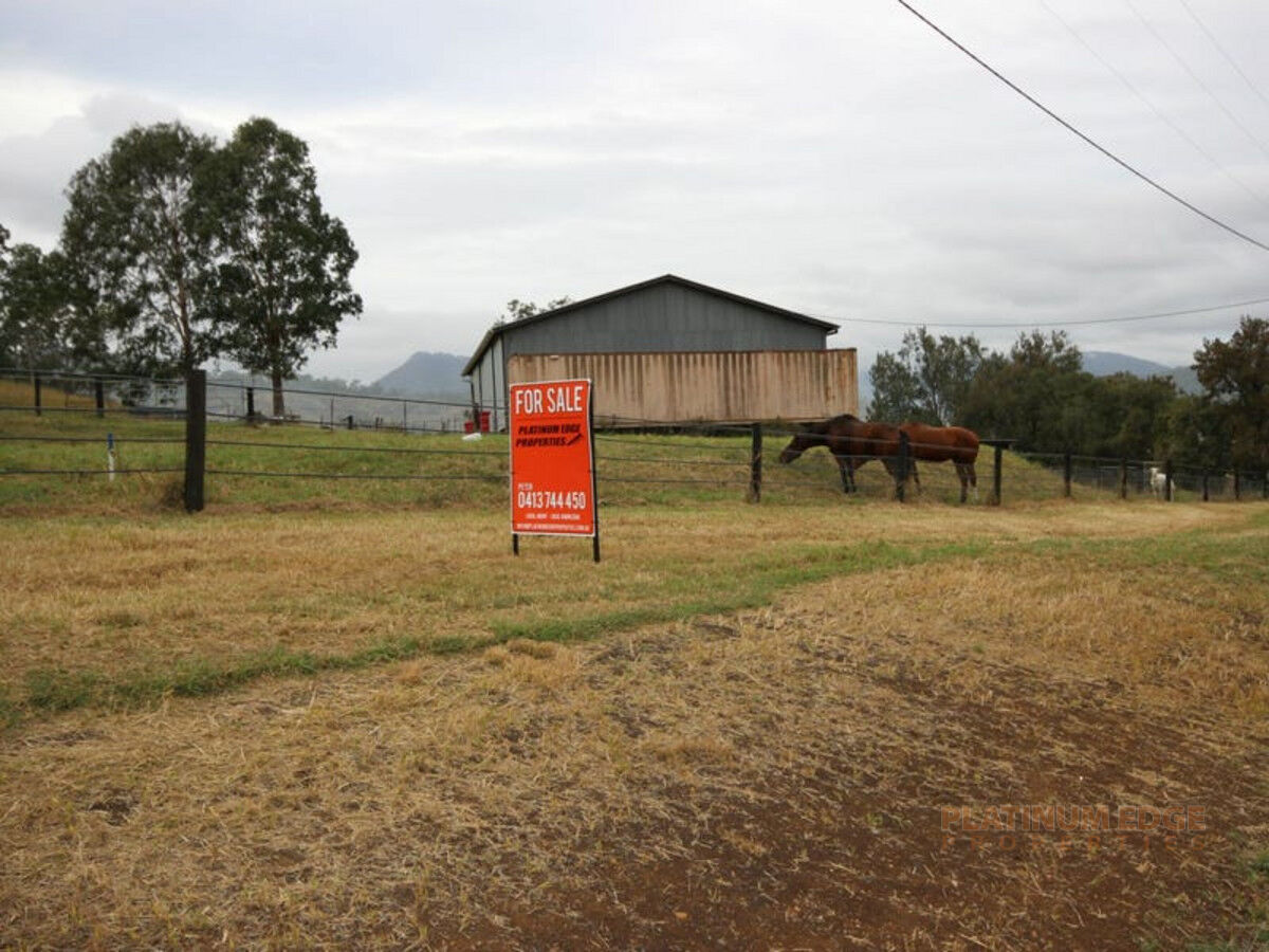 Lot 1 Christmas Creek Road, LAMINGTON QLD 4285, Lamington - Thumbnail 2