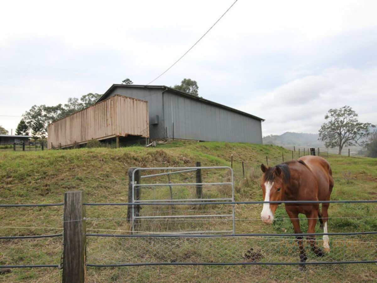 Lot 1 Christmas Creek Road, LAMINGTON QLD 4285, Lamington - Thumbnail 3