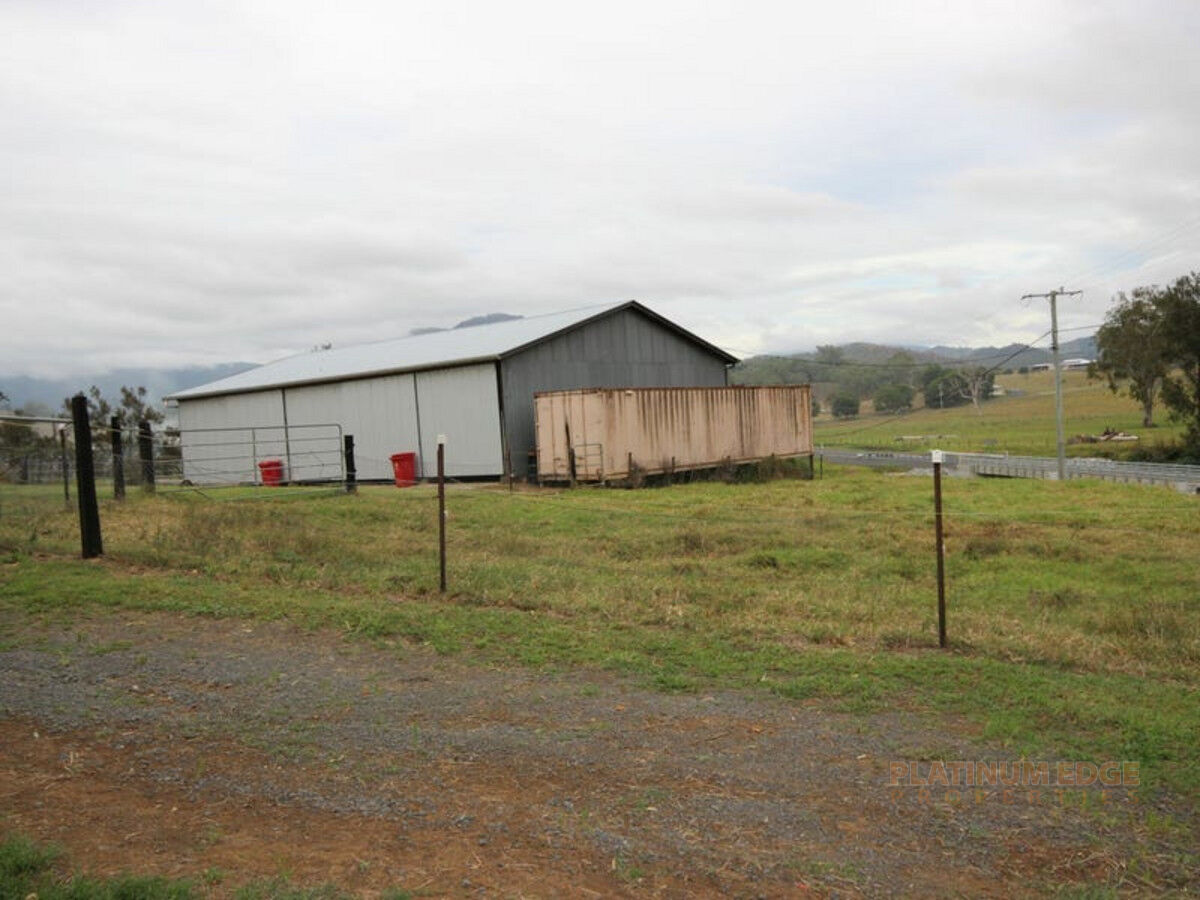 Lot 1 Christmas Creek Road, LAMINGTON QLD 4285, Lamington - Thumbnail 8
