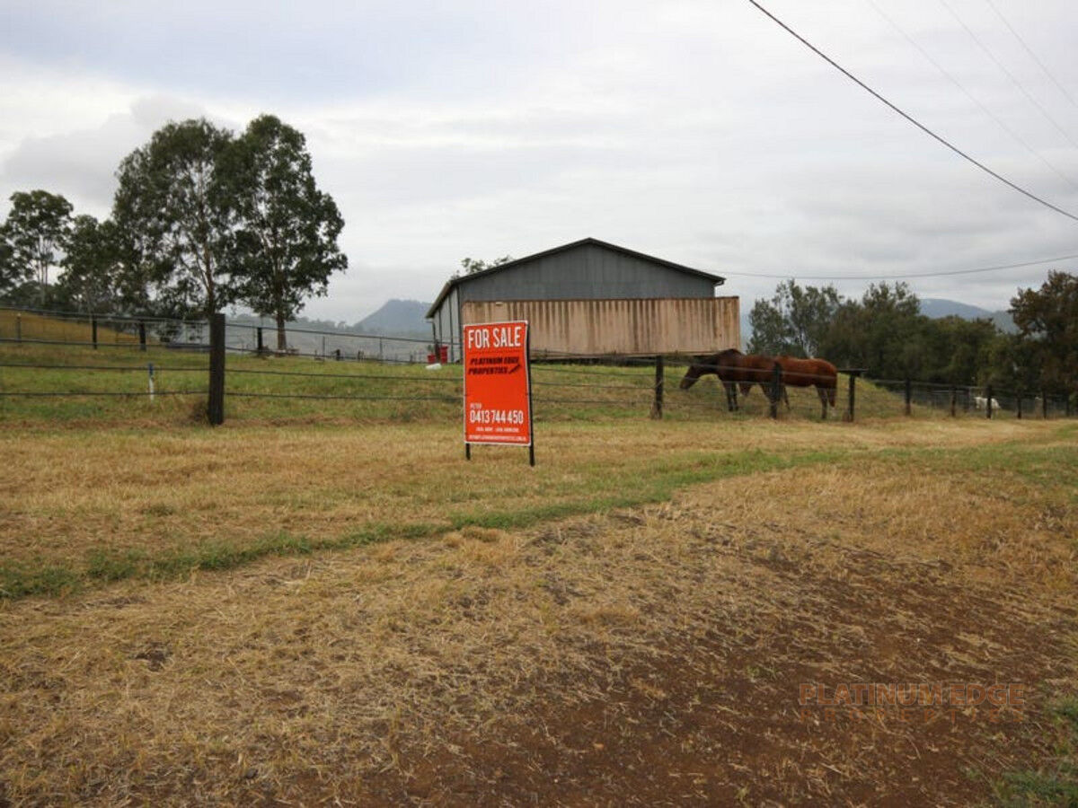 Lot 1 Christmas Creek Road, LAMINGTON QLD 4285, Lamington - Thumbnail 5