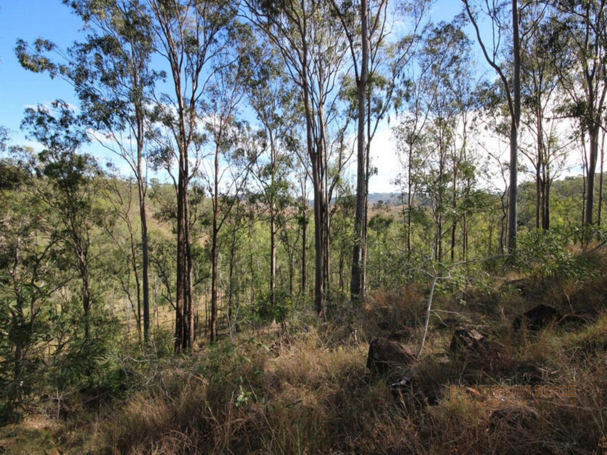 26-28 Campbell Drive, KOORALBYN QLD 4285, Kooralbyn - Thumbnail 3