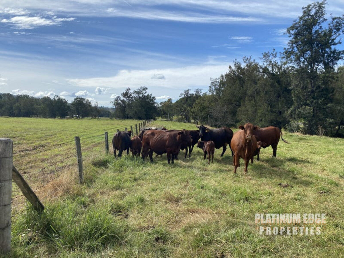 10667 Mount Lindesay Highway, PALEN CREEK QLD 4287, Palen Creek - Thumbnail 6