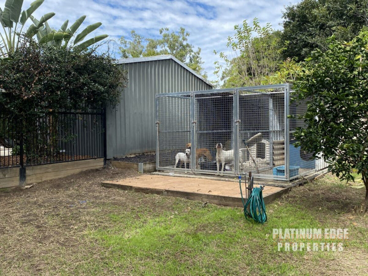 36 Hart Street, BEAUDESERT QLD 4285, Beaudesert - Thumbnail 5