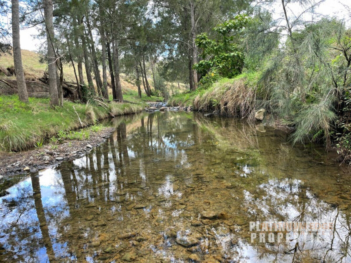 312 Widgee Creek Road, HILLVIEW QLD 4285, Hillview - Thumbnail 4