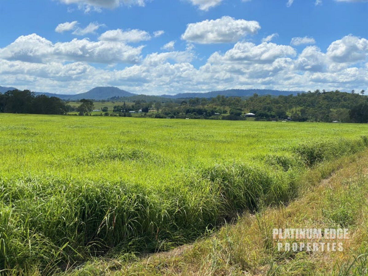 580 Oaky Creek Road, OAKY CREEK QLD 4285, Oaky Creek - Thumbnail 6