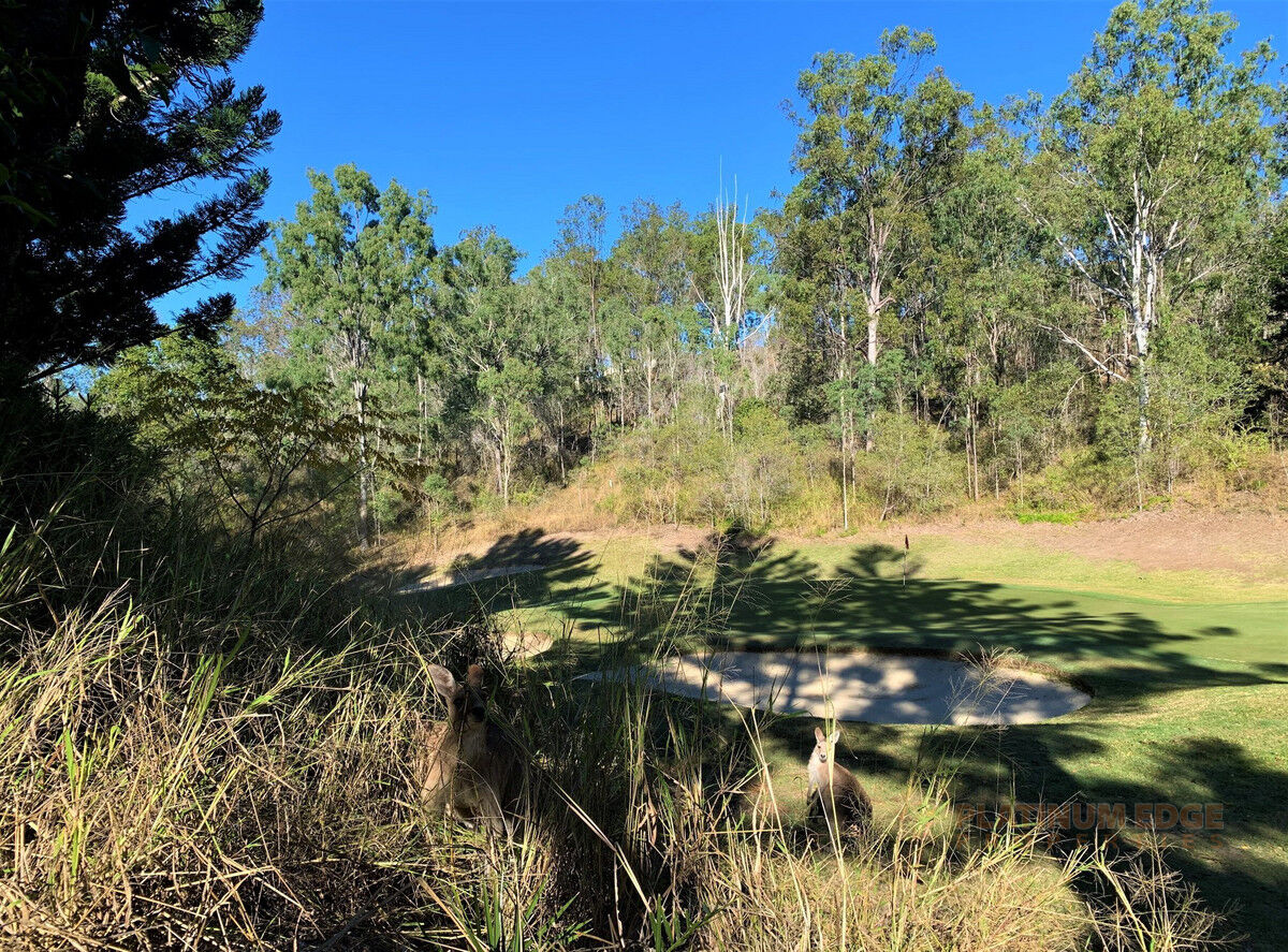 Lot 5 / 224 Routley Drive, Kooralbyn QLD 4285, Kooralbyn - Thumbnail 4