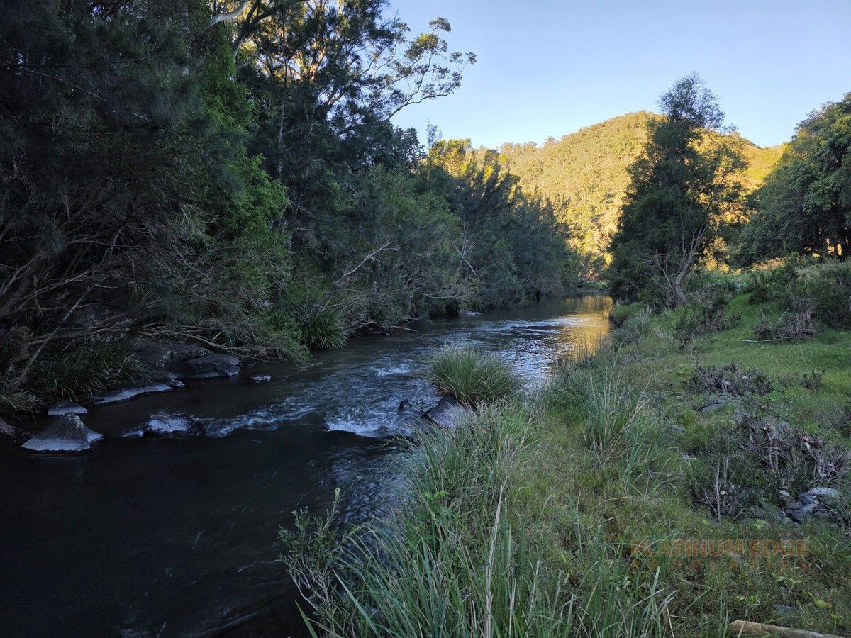 1462 Running Creek Road, Running Creek QLD 4287, Running Creek - Thumbnail 2