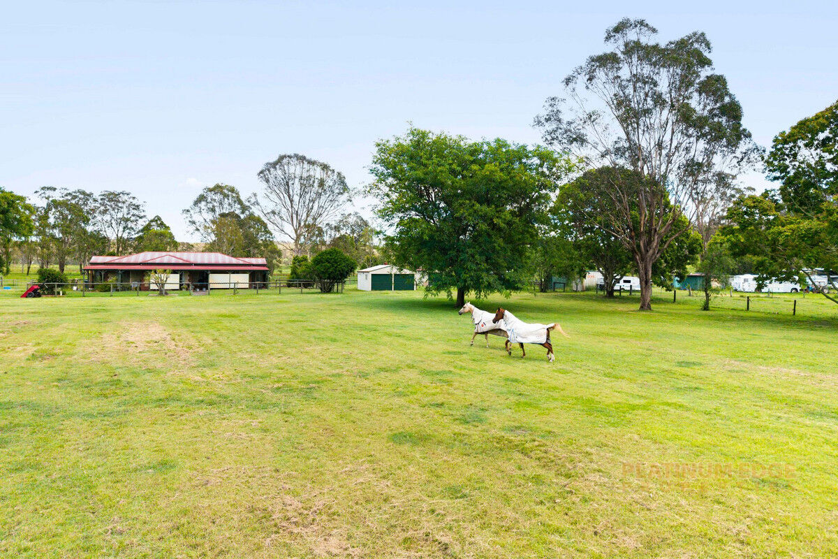 15 Penola Road, Allenview QLD 4285, Allenview - Thumbnail 2