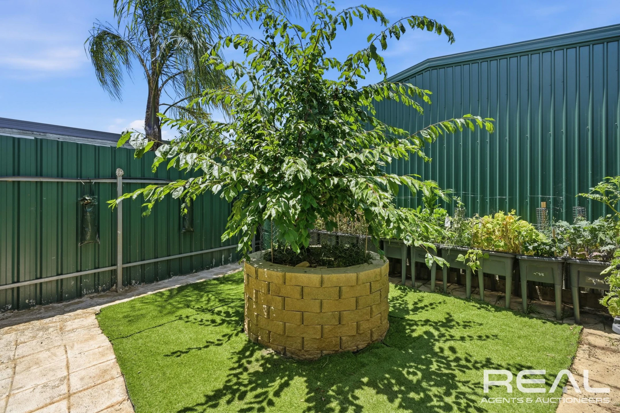 1 Linger Crescent, ELIZABETH DOWNS SA 5113, Elizabeth Downs - Thumbnail 4