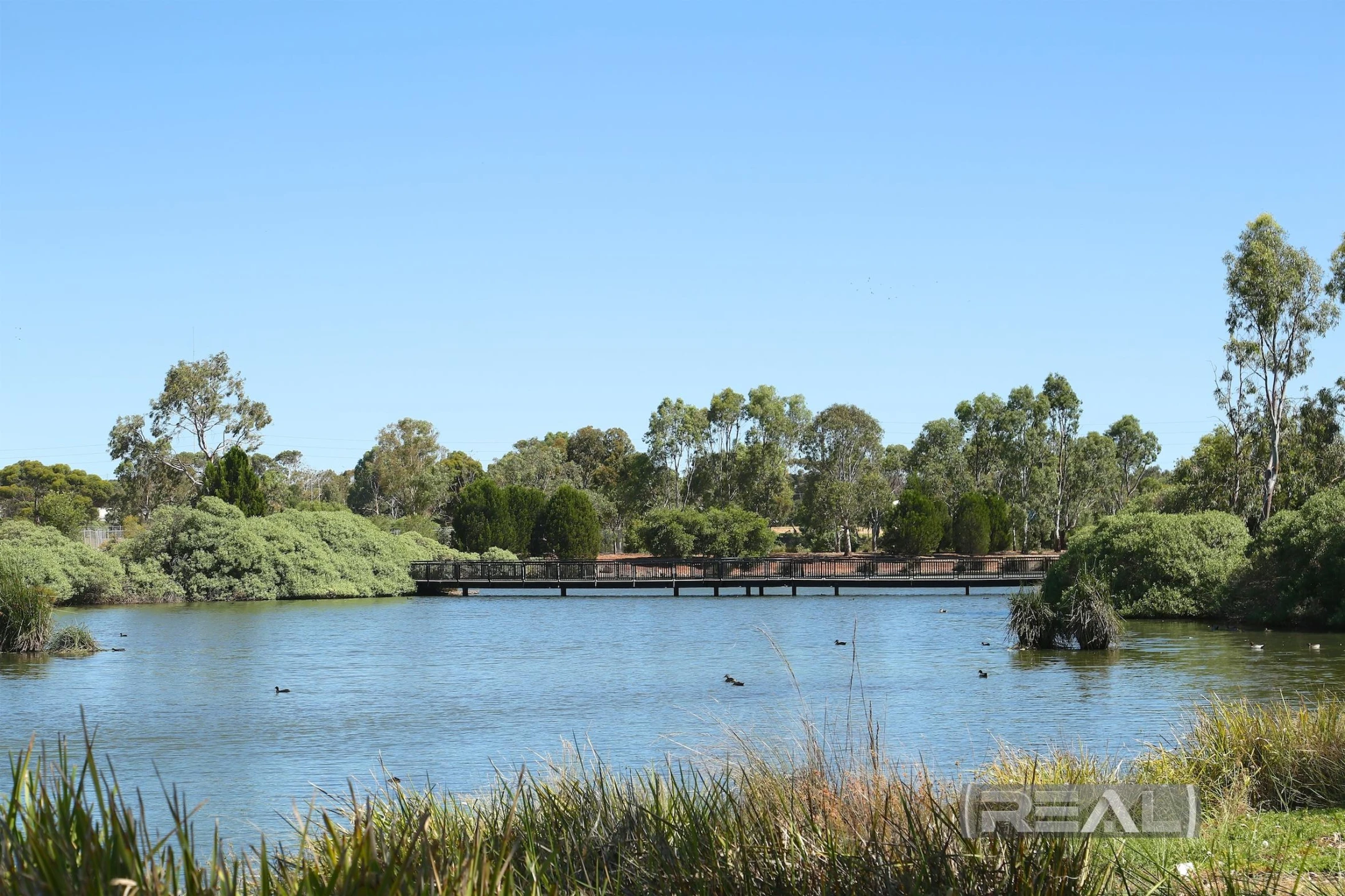 99 Light Avenue, MUNNO PARA SA 5115, Munno Para - Thumbnail 3