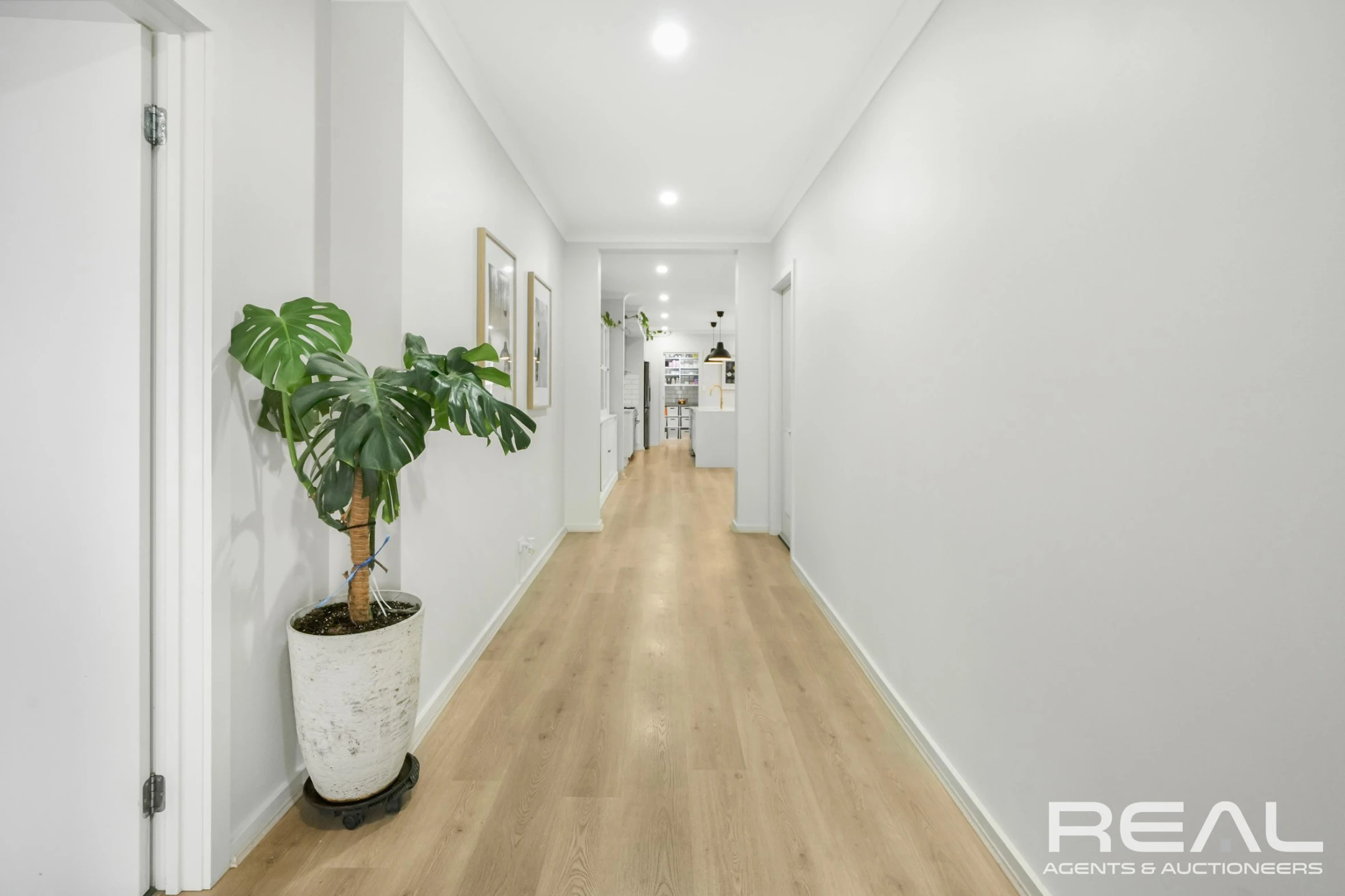 38 Gonis Circuit, Evanston Gardens SA 5116, Evanston Gardens - Thumbnail 2