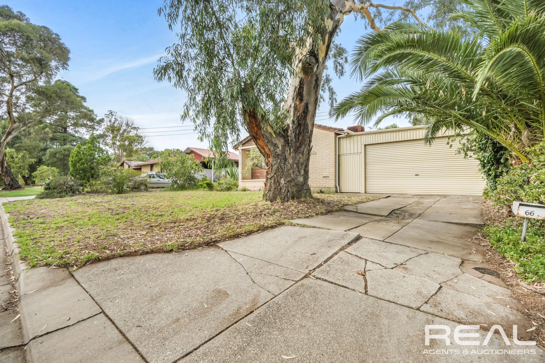 66 Pipkin Road, Elizabeth East SA 5112, Elizabeth East - Thumbnail 4