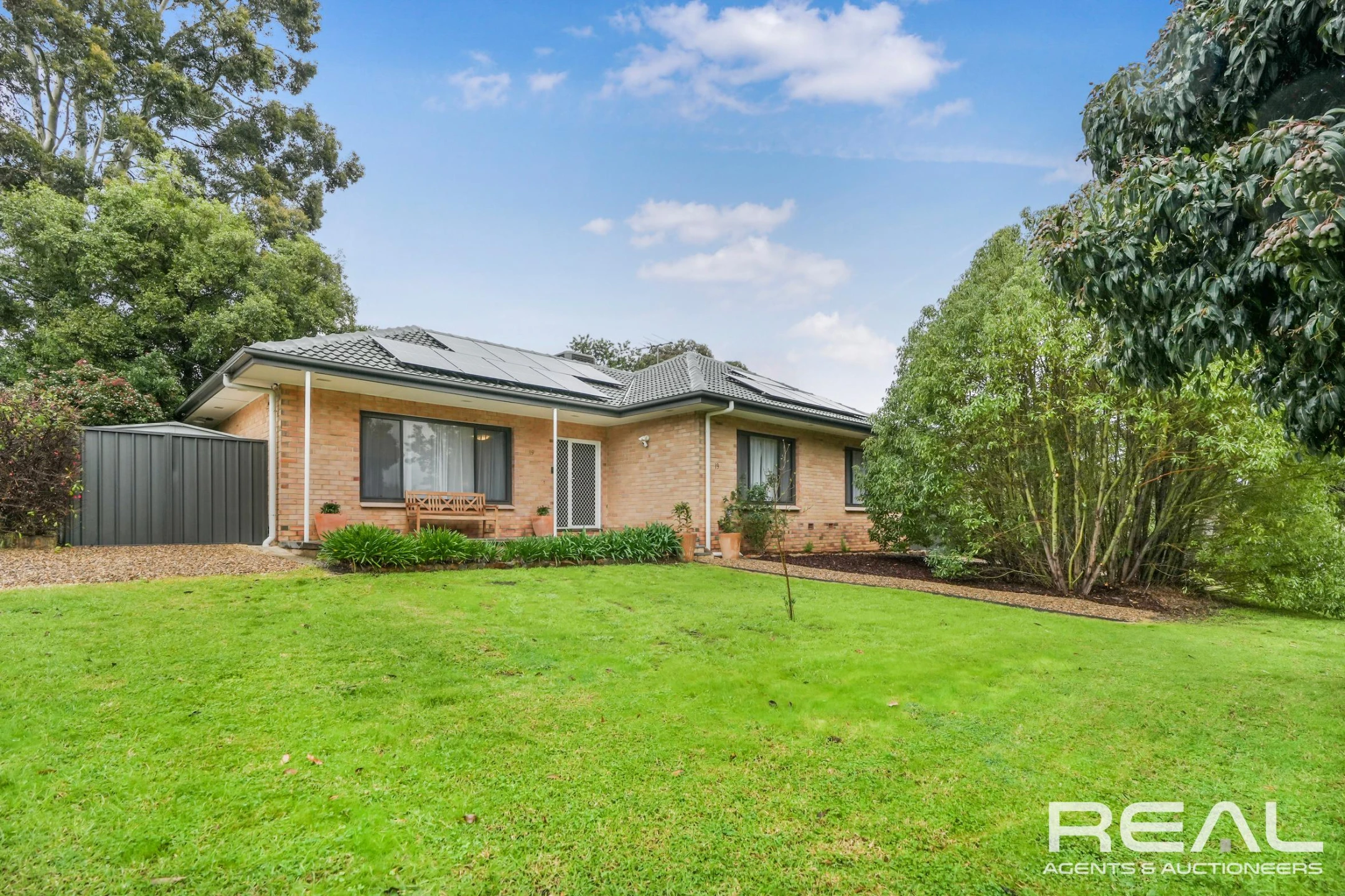 19 Tarraleah Street, Banksia Park SA 5091, Banksia Park - Thumbnail 7