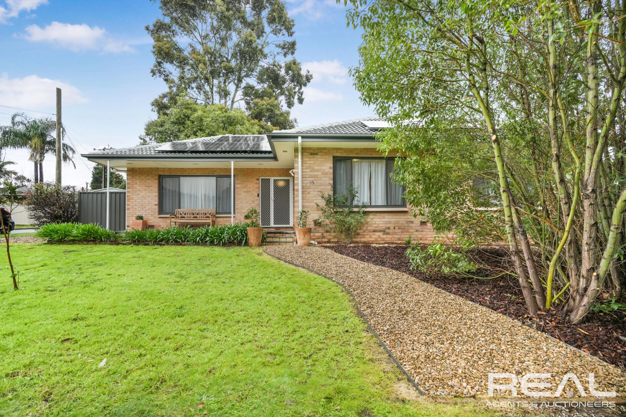 19 Tarraleah Street, Banksia Park SA 5091, Banksia Park - Thumbnail 2