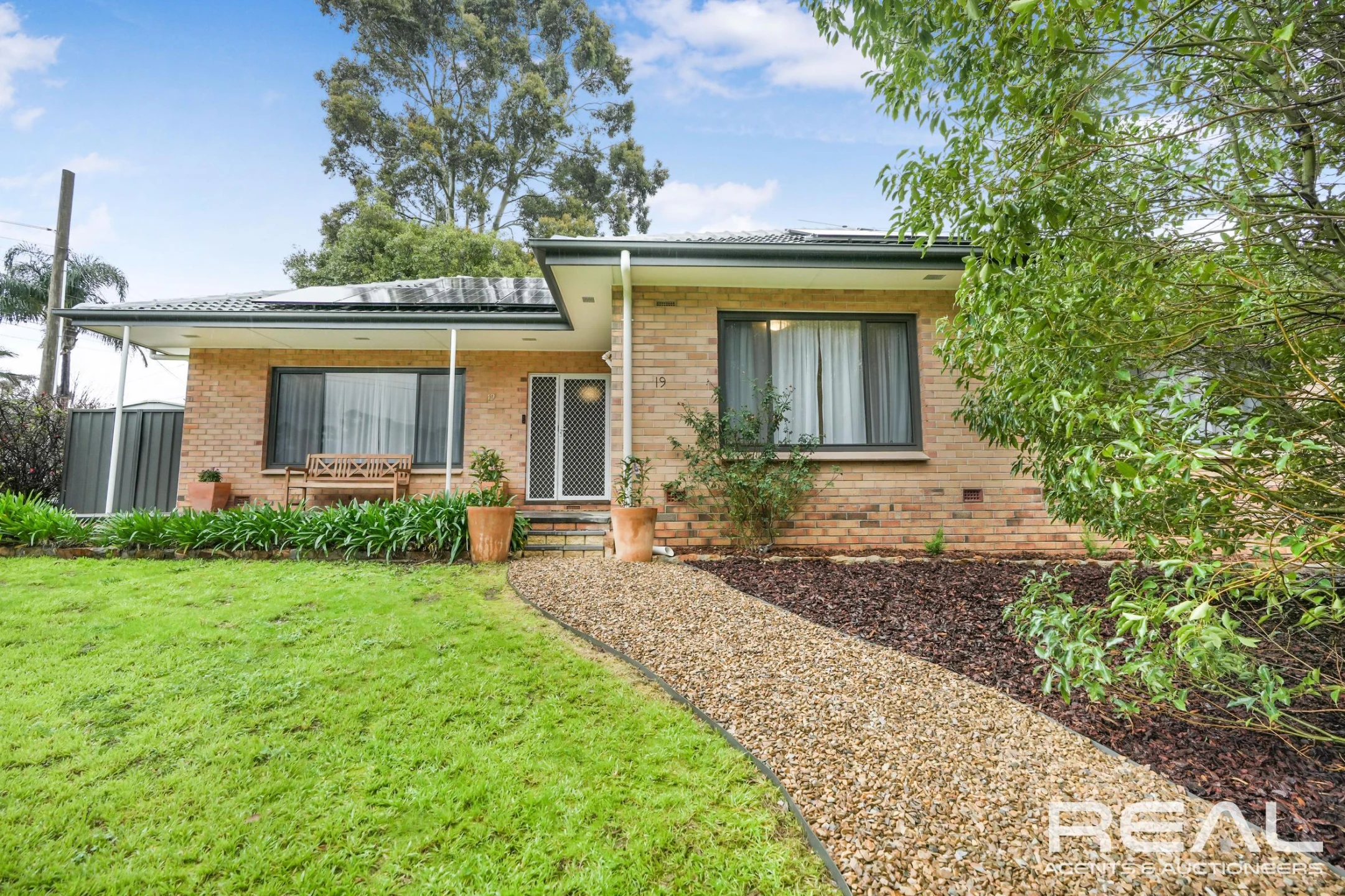 19 Tarraleah Street, Banksia Park SA 5091, Banksia Park - Thumbnail 5