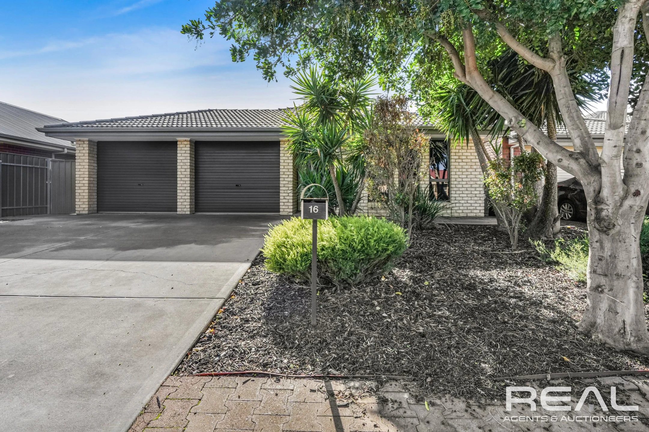 16 Oxford Drive, Andrews Farm SA 5114, Andrews Farm - Thumbnail 3