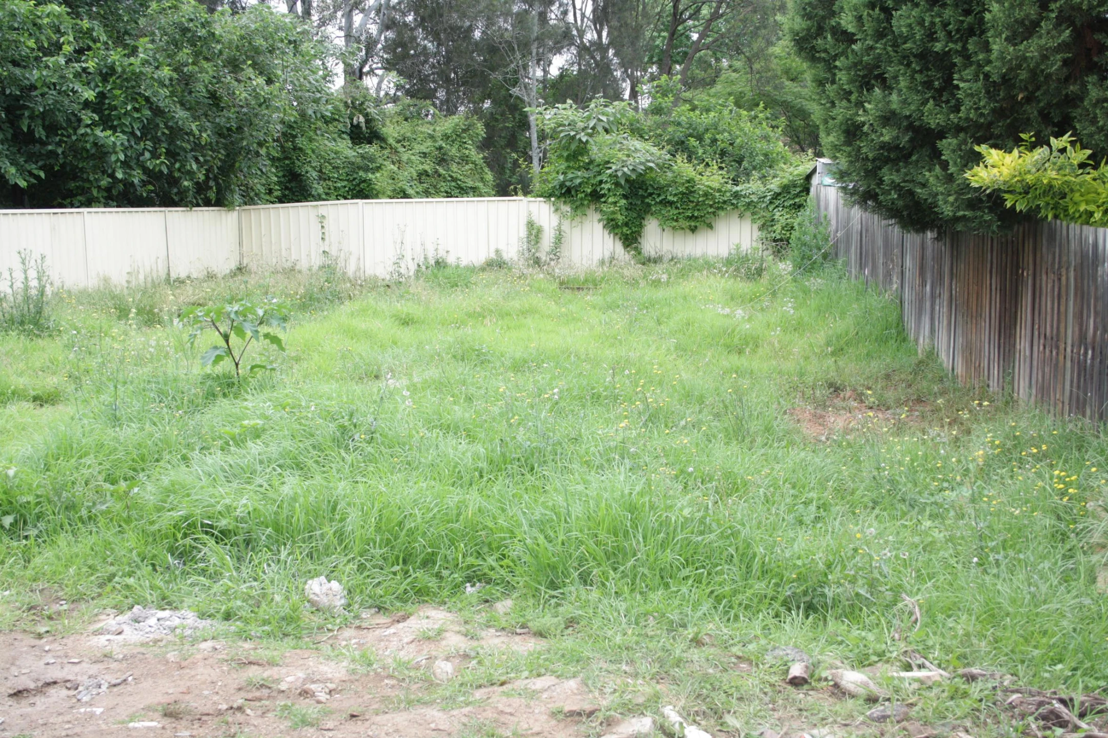MACQUARIE FIELDS NSW 2564, Macquarie Fields - Thumbnail 4