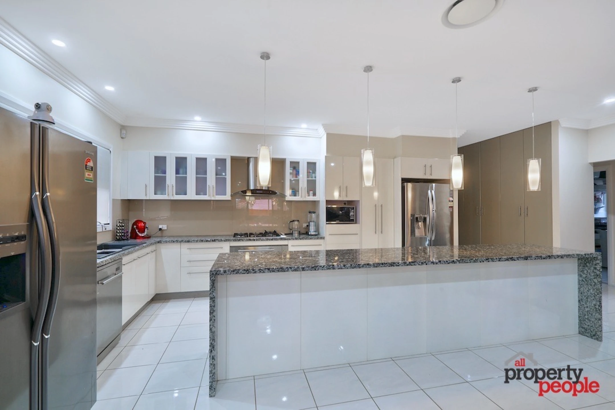 41 Albert Street, Ingleburn NSW 2565, Ingleburn - Thumbnail 2