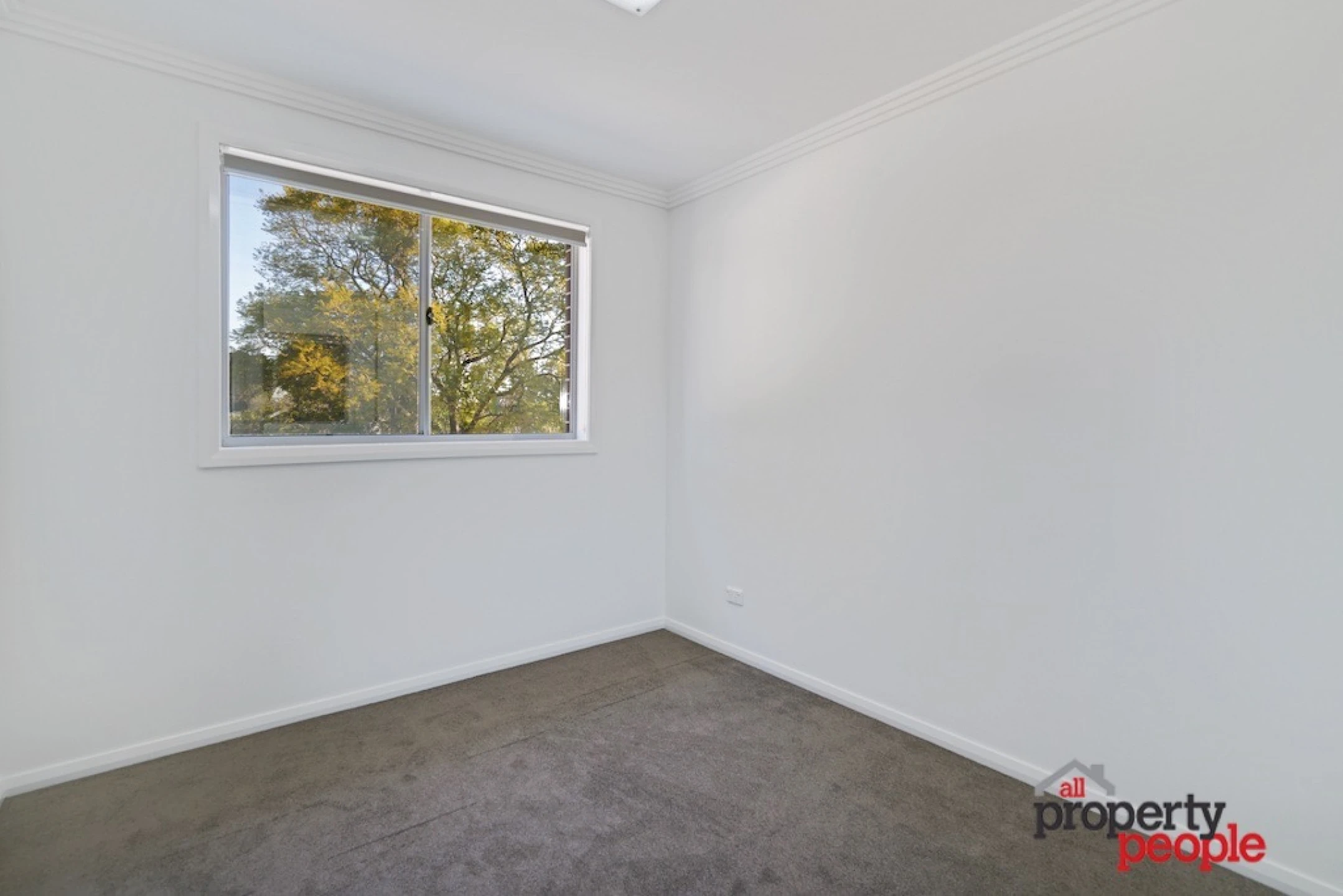 29B Chesham Parade, Glenfield NSW 2167, Glenfield - Thumbnail 8