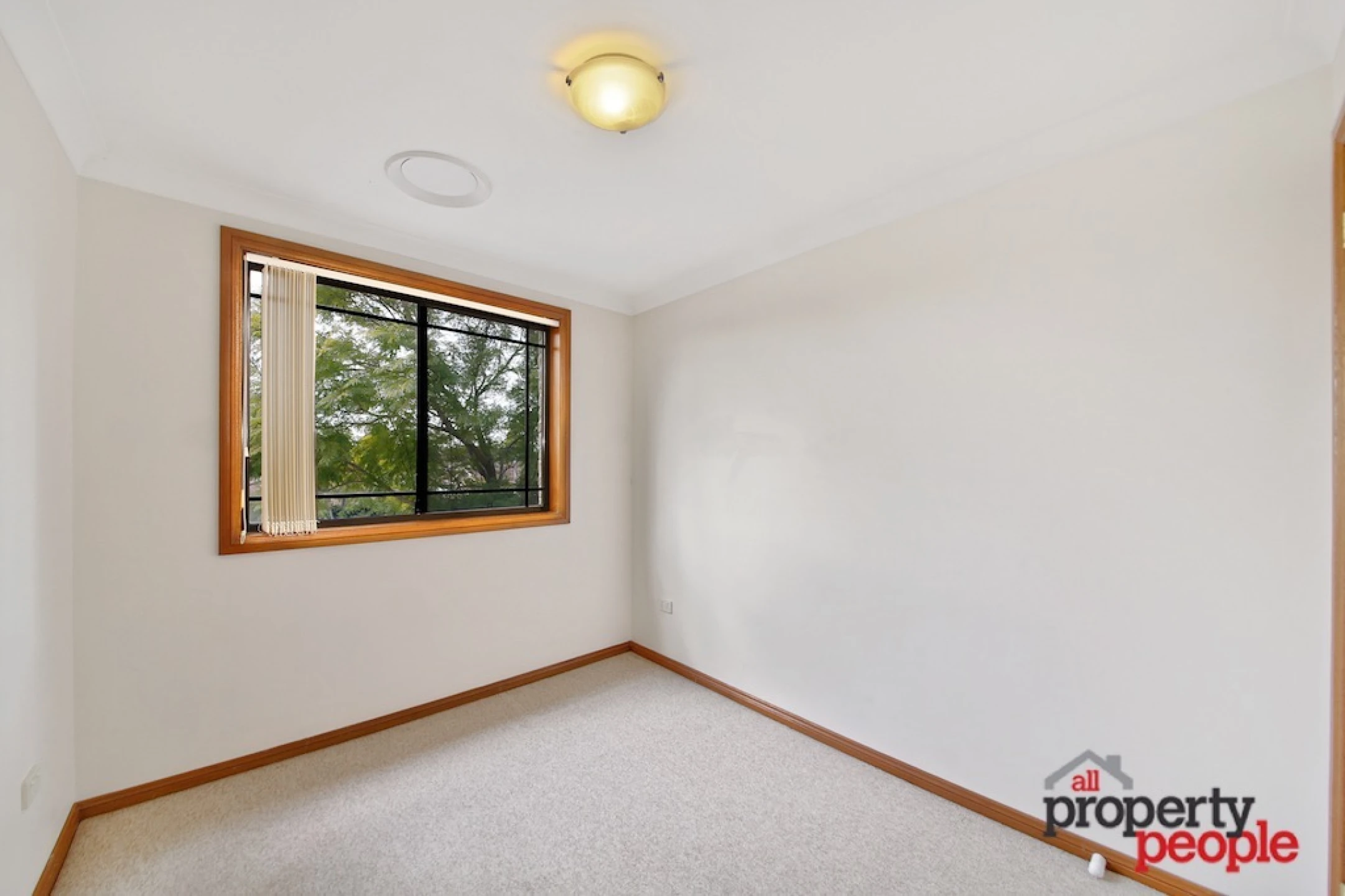 103C Chester Road, Ingleburn NSW 2565, Ingleburn - Thumbnail 7
