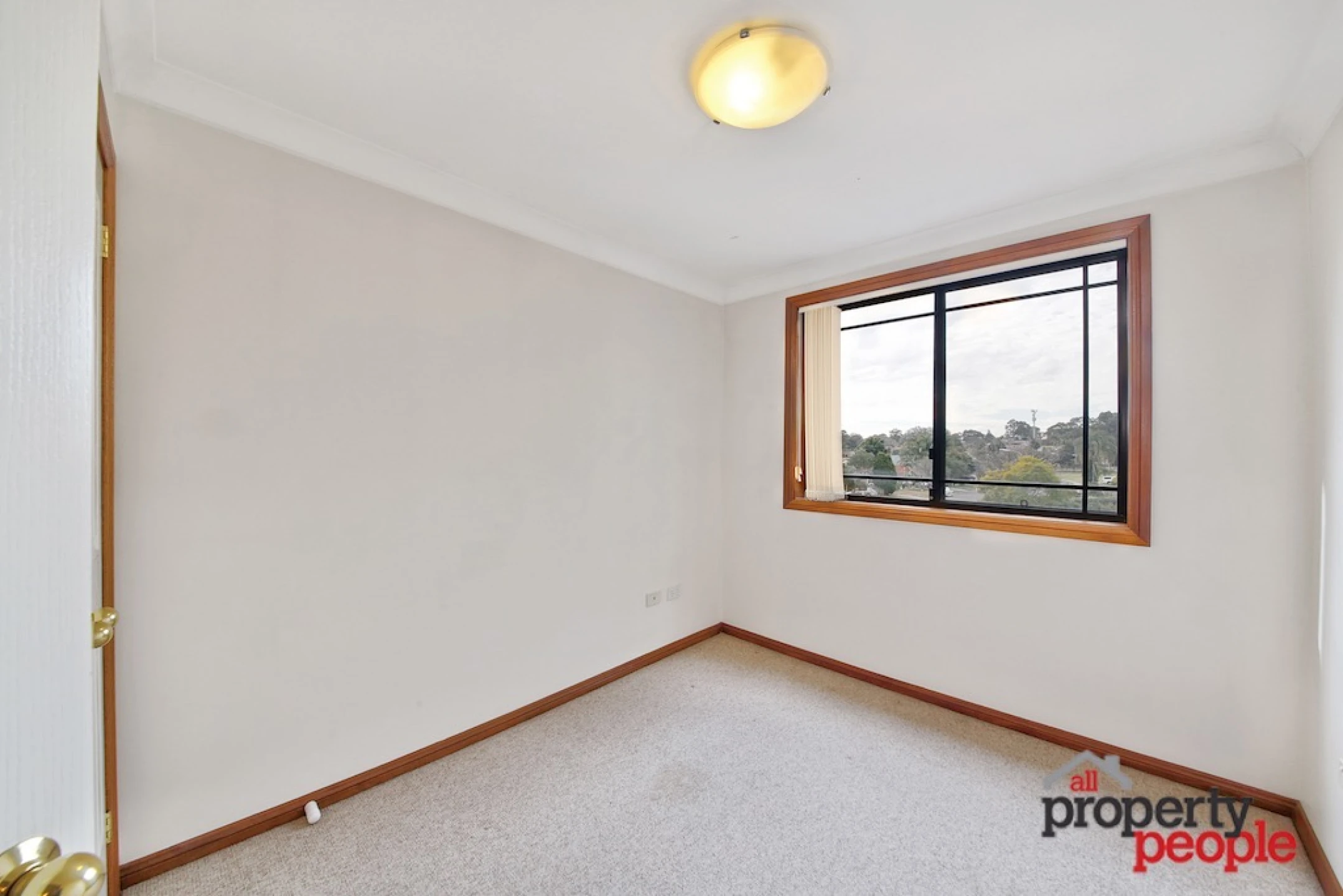 103C Chester Road, Ingleburn NSW 2565, Ingleburn - Thumbnail 8