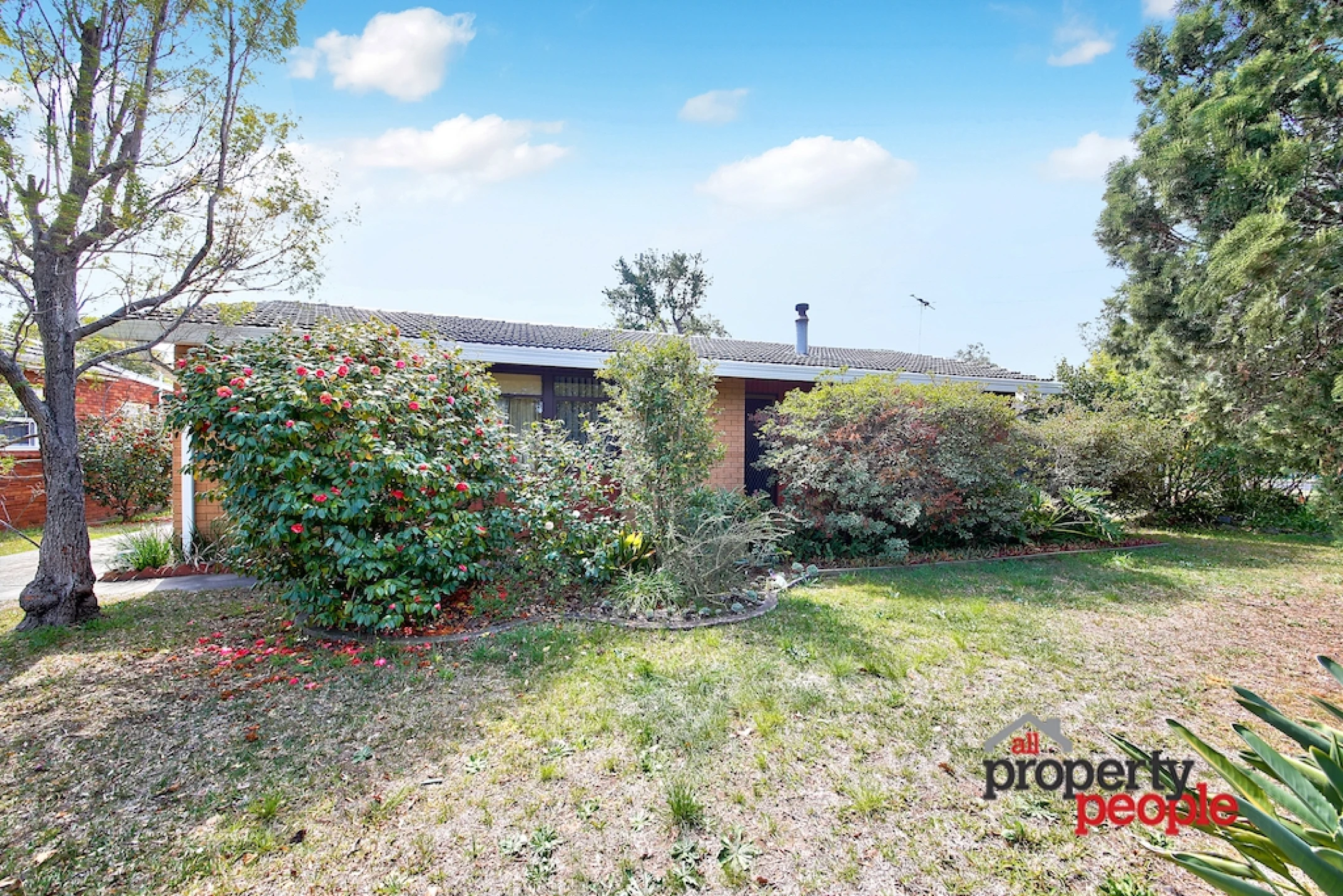 14 - 16 Macquarie Road, Ingleburn NSW 2565, Ingleburn - Thumbnail 6