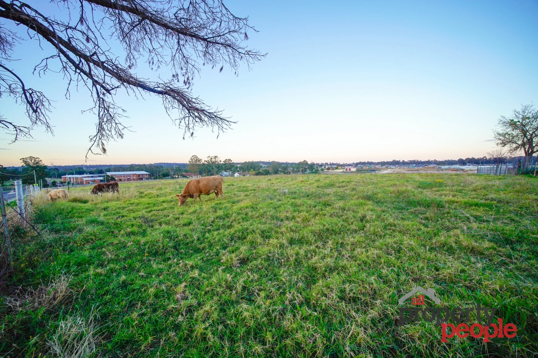 Lot 121 / 495 Fourth Avenue, Austral NSW 2179, Austral - Thumbnail 3