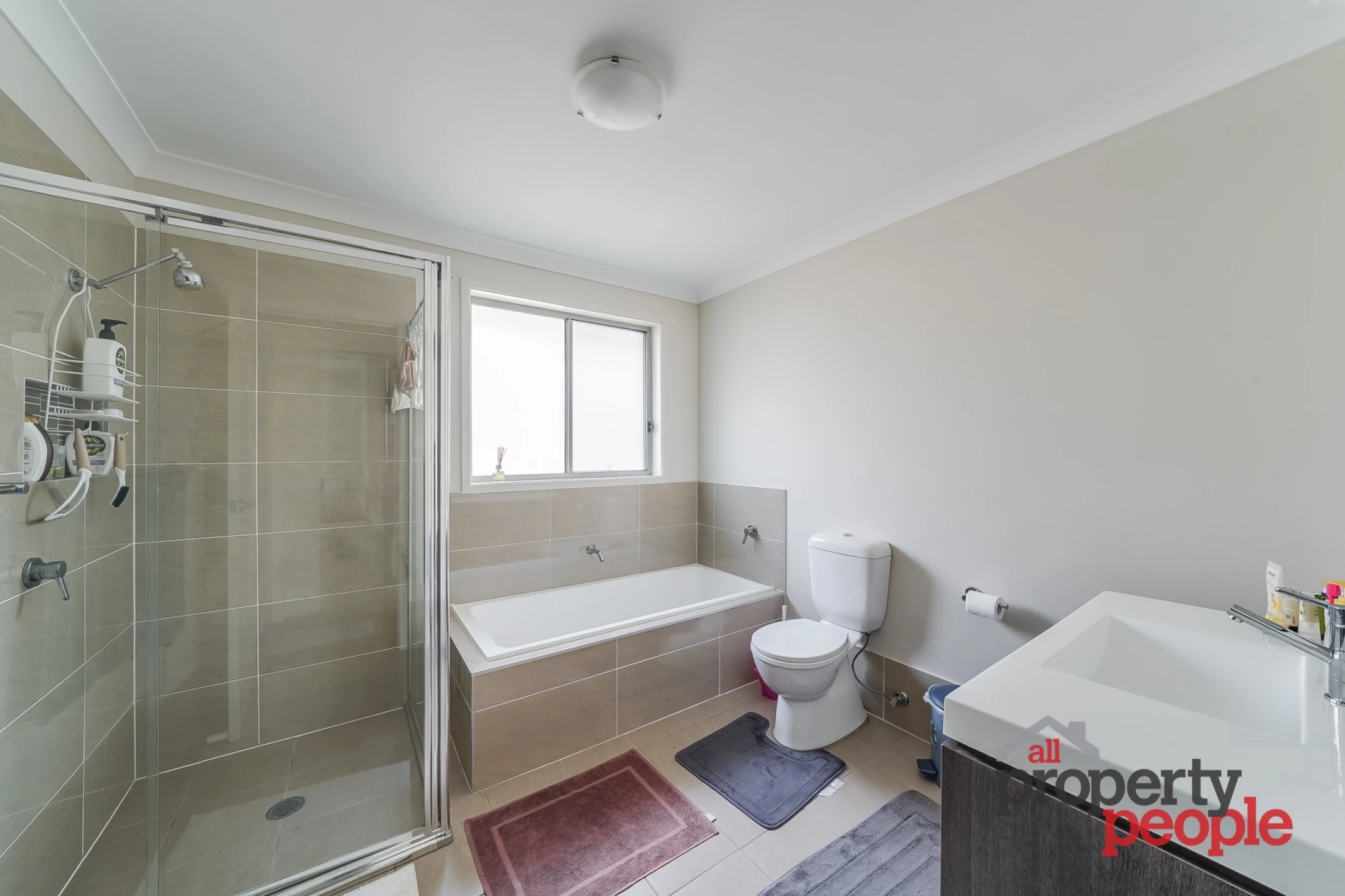 8 Singapore Road, Edmondson Park NSW 2174, Edmondson Park - Thumbnail 7