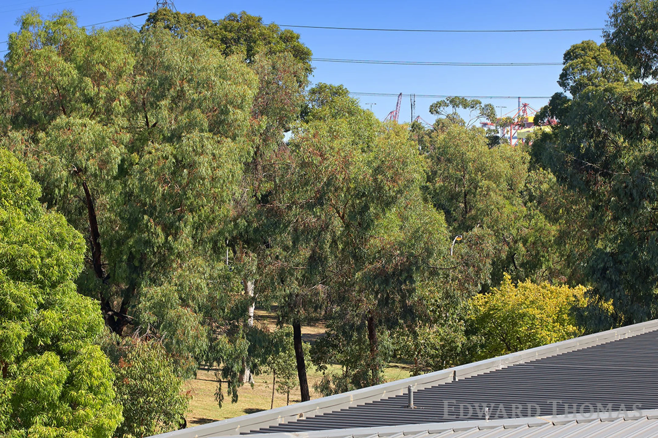 303 / 62 Altona Street, Kensington VIC 3031, Kensington - Thumbnail 6