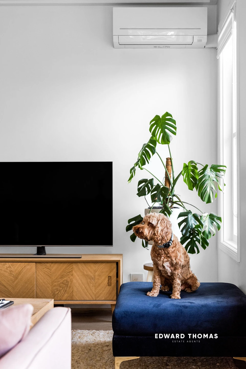 3 / 80 Henry Street, Kensington VIC 3031, Kensington - Thumbnail 3