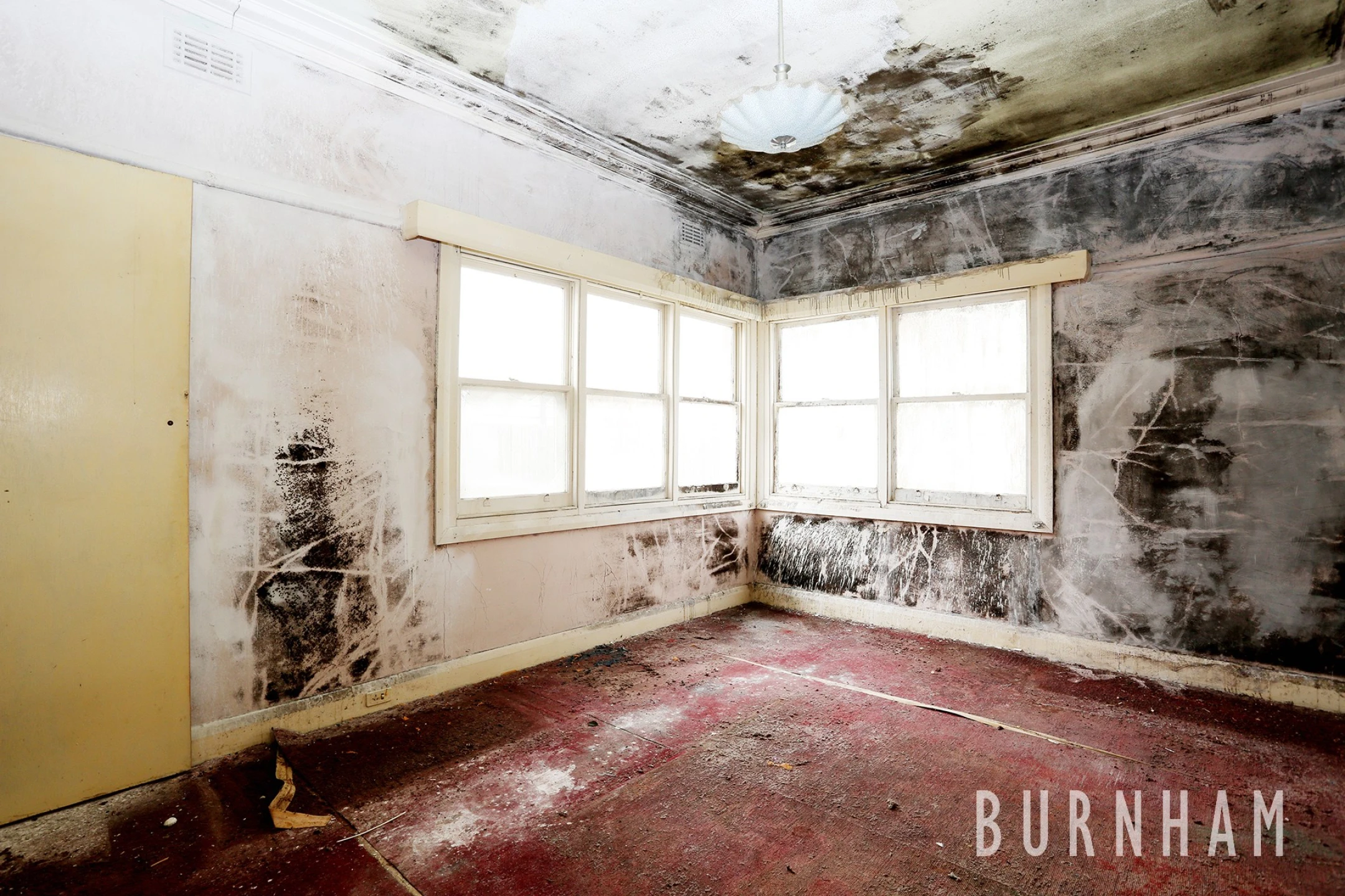 14 Woods Street, Newport VIC 3015, Newport - Thumbnail 6