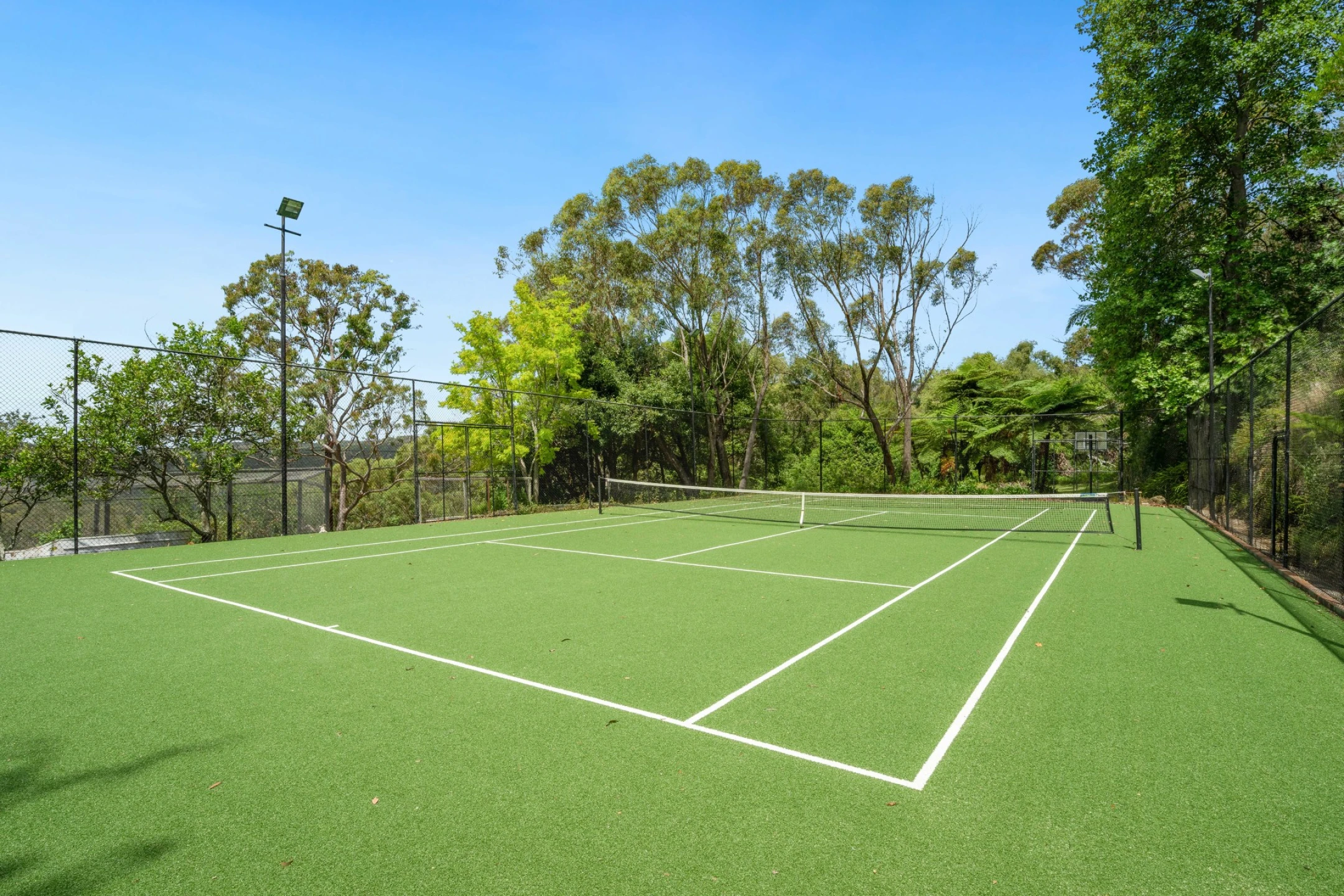8 Morgan Road, Belrose NSW 2085, Belrose - Thumbnail 7