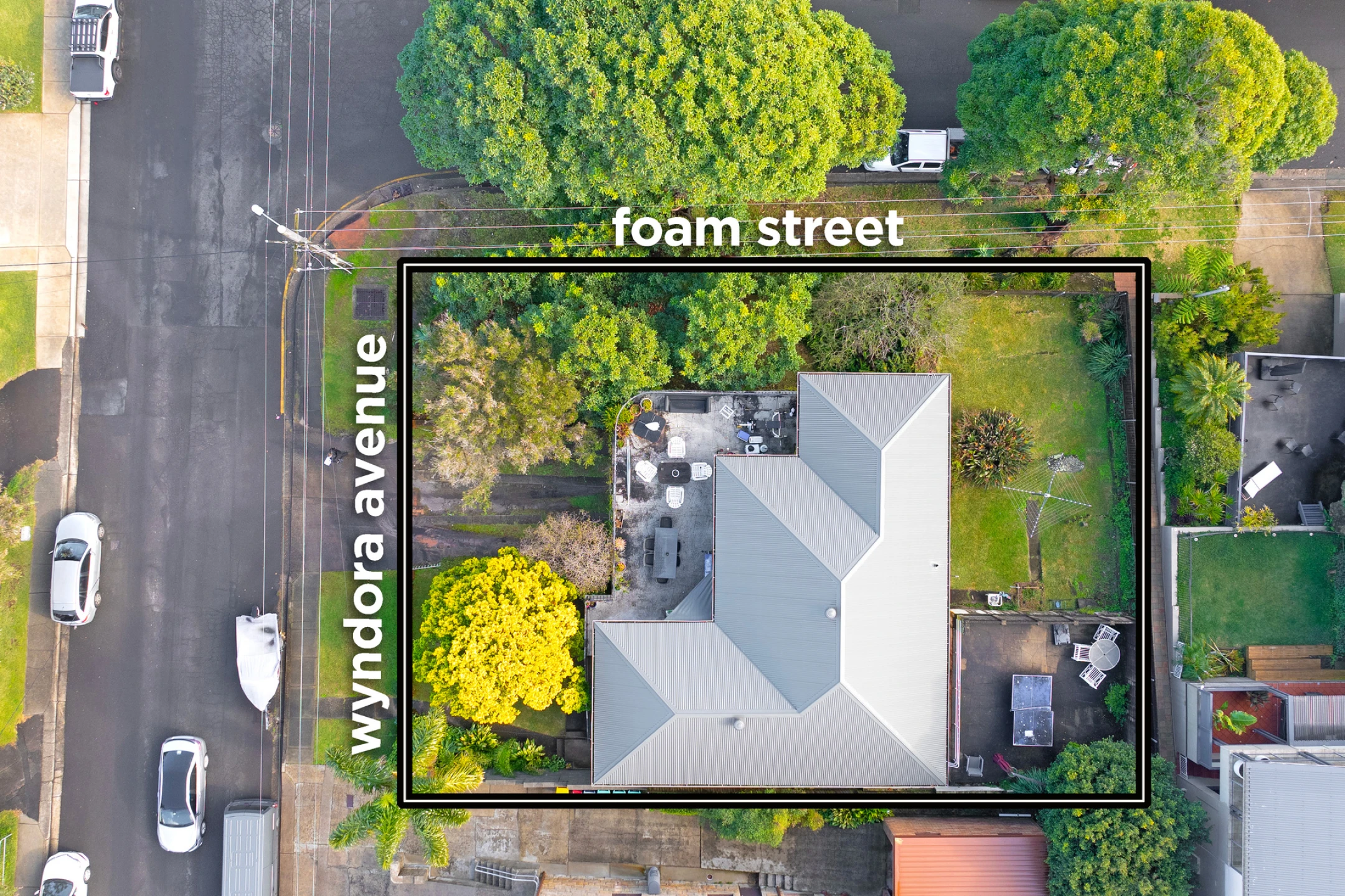 51 Wyndora Avenue, Freshwater NSW 2096, Freshwater - Thumbnail 5