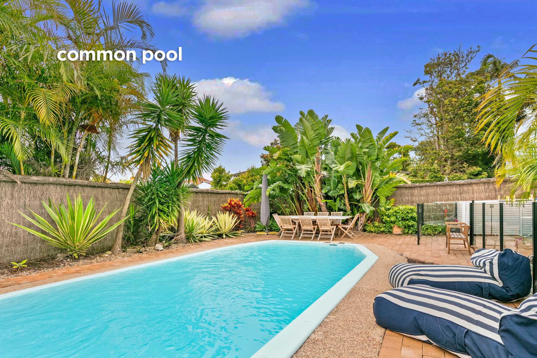 6 / 95 Addison Road, Manly NSW 2095, Manly - Thumbnail 5