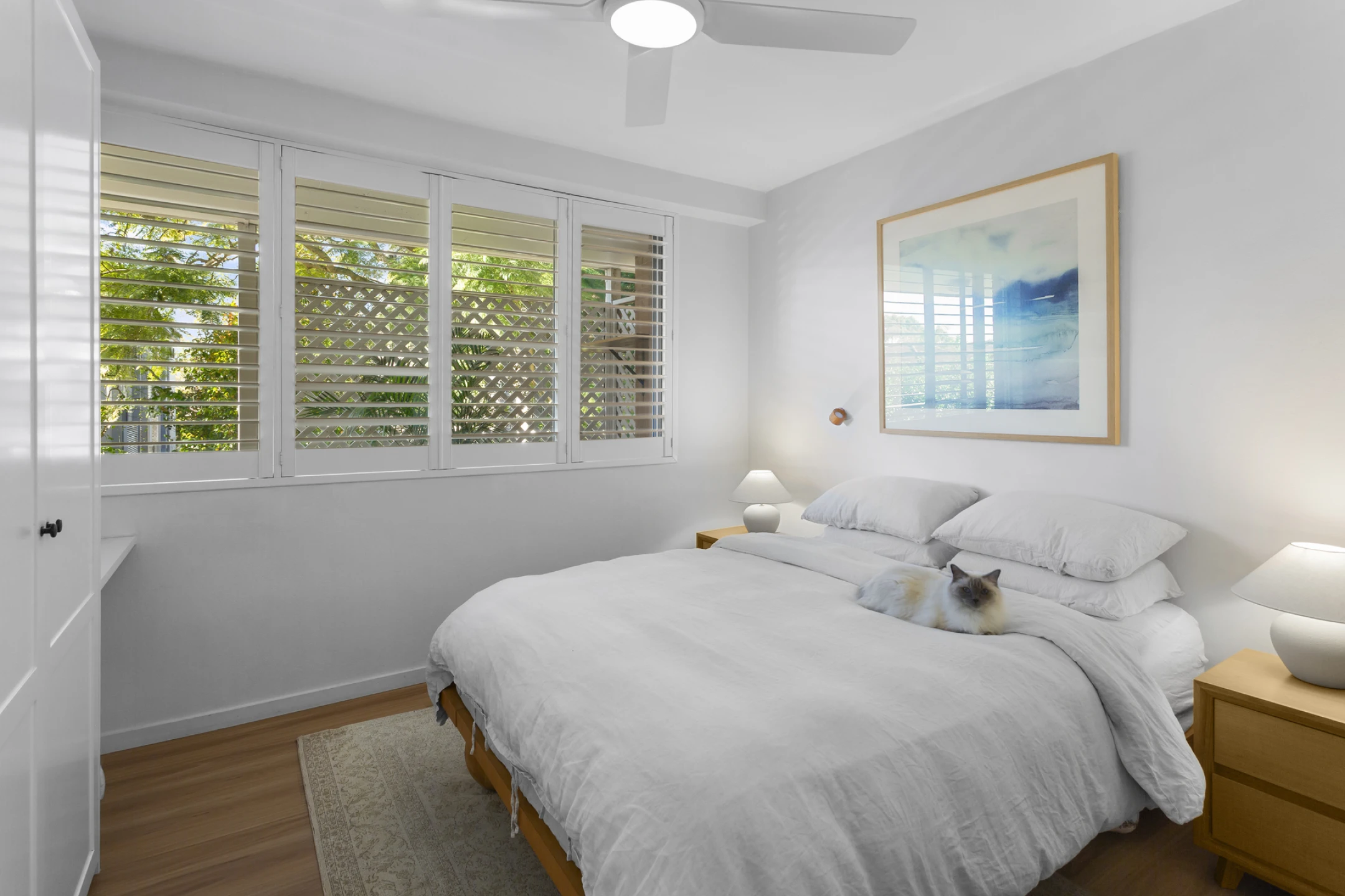 1 / 2 Holborn Avenue, Dee Why NSW 2099, Dee Why - Thumbnail 8