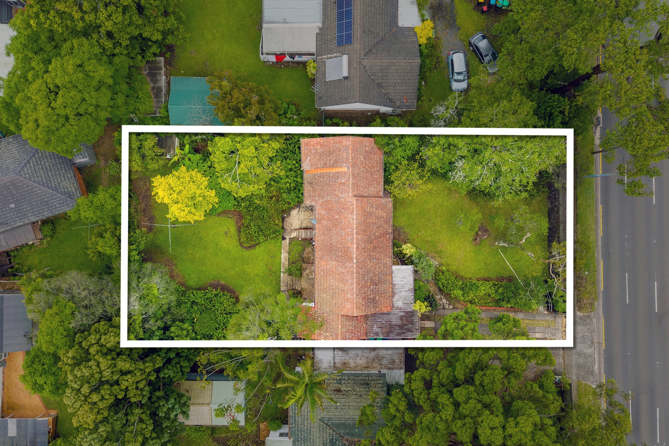 37 Forest Way, Frenchs Forest NSW 2086, Frenchs Forest - Thumbnail 4