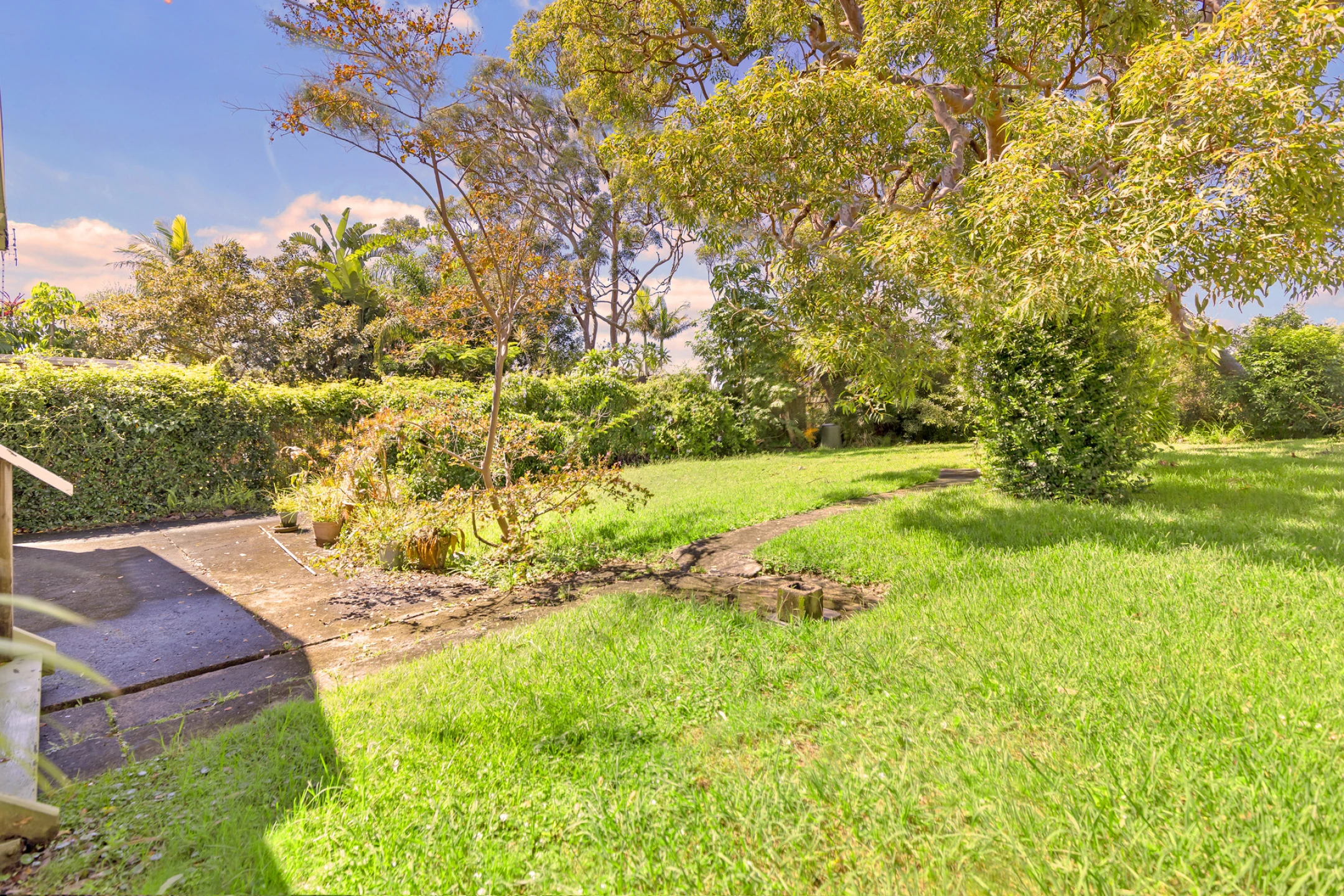 233 Alfred Street, Cromer NSW 2099, Cromer - Thumbnail 4
