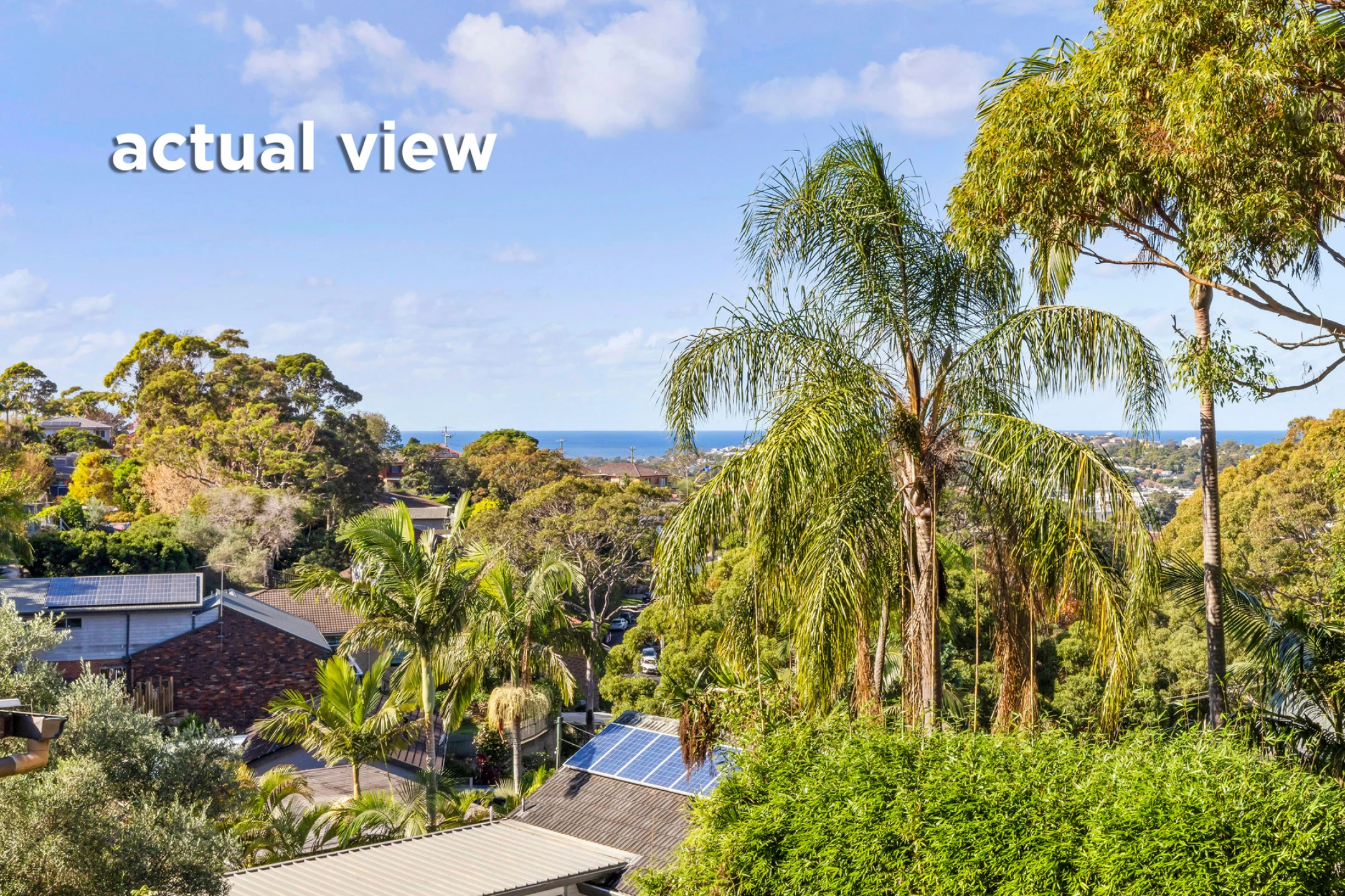 37 Beacon Avenue, Beacon Hill NSW 2100, Beacon Hill - Thumbnail 8