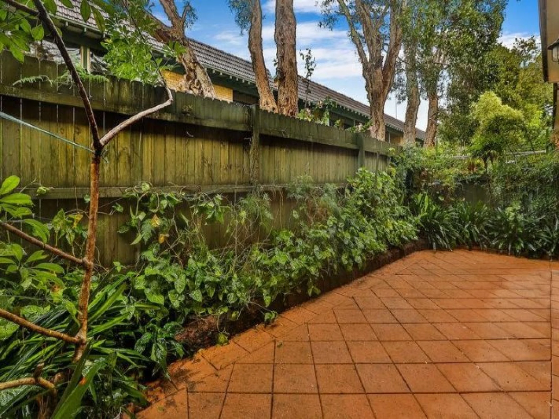 3 / 108 Fisher Road, DEE WHY NSW 2099, Dee Why - Thumbnail 2