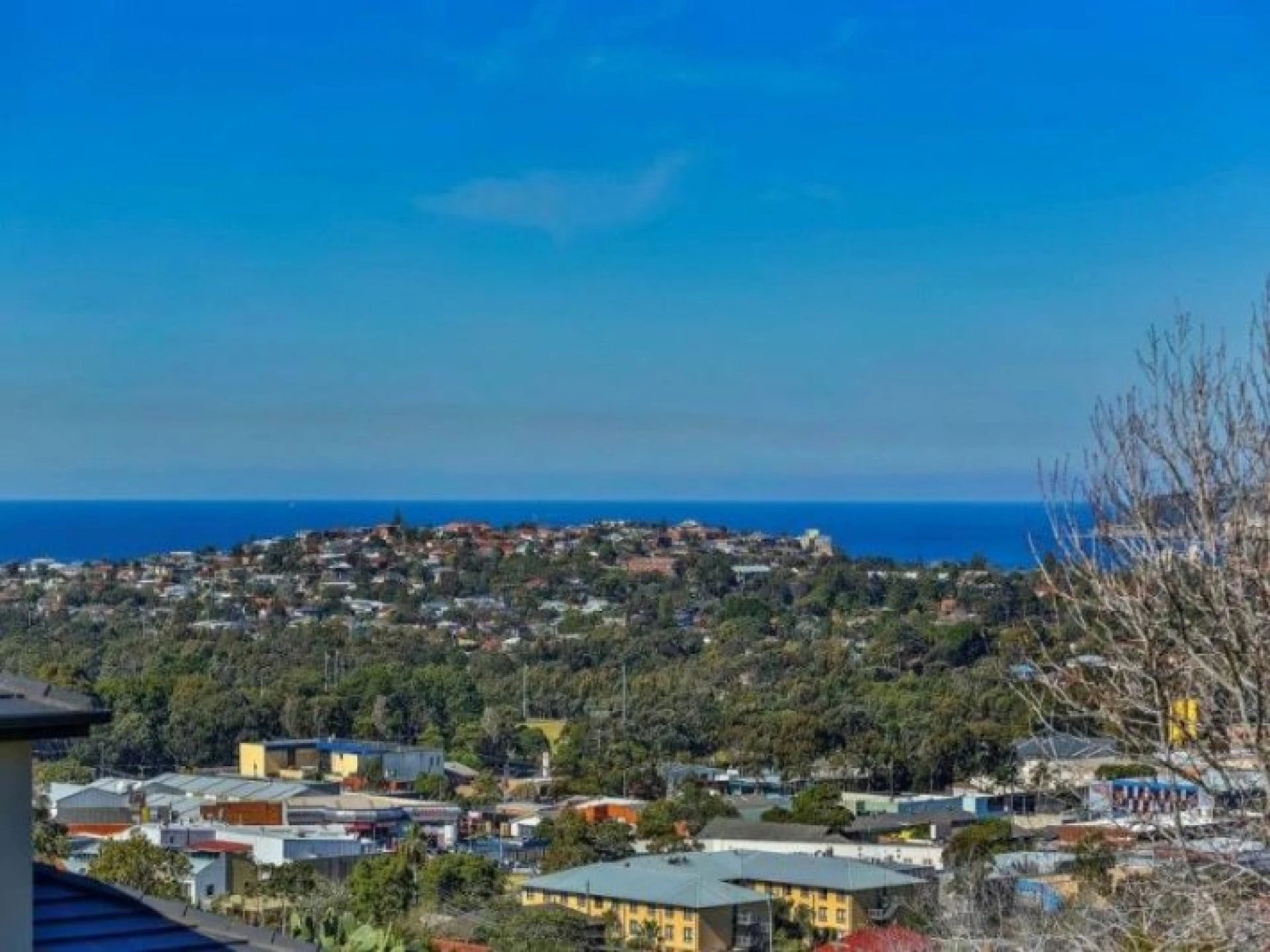41 Alfred Road, Narraweena NSW 2099, Narraweena - Thumbnail 2