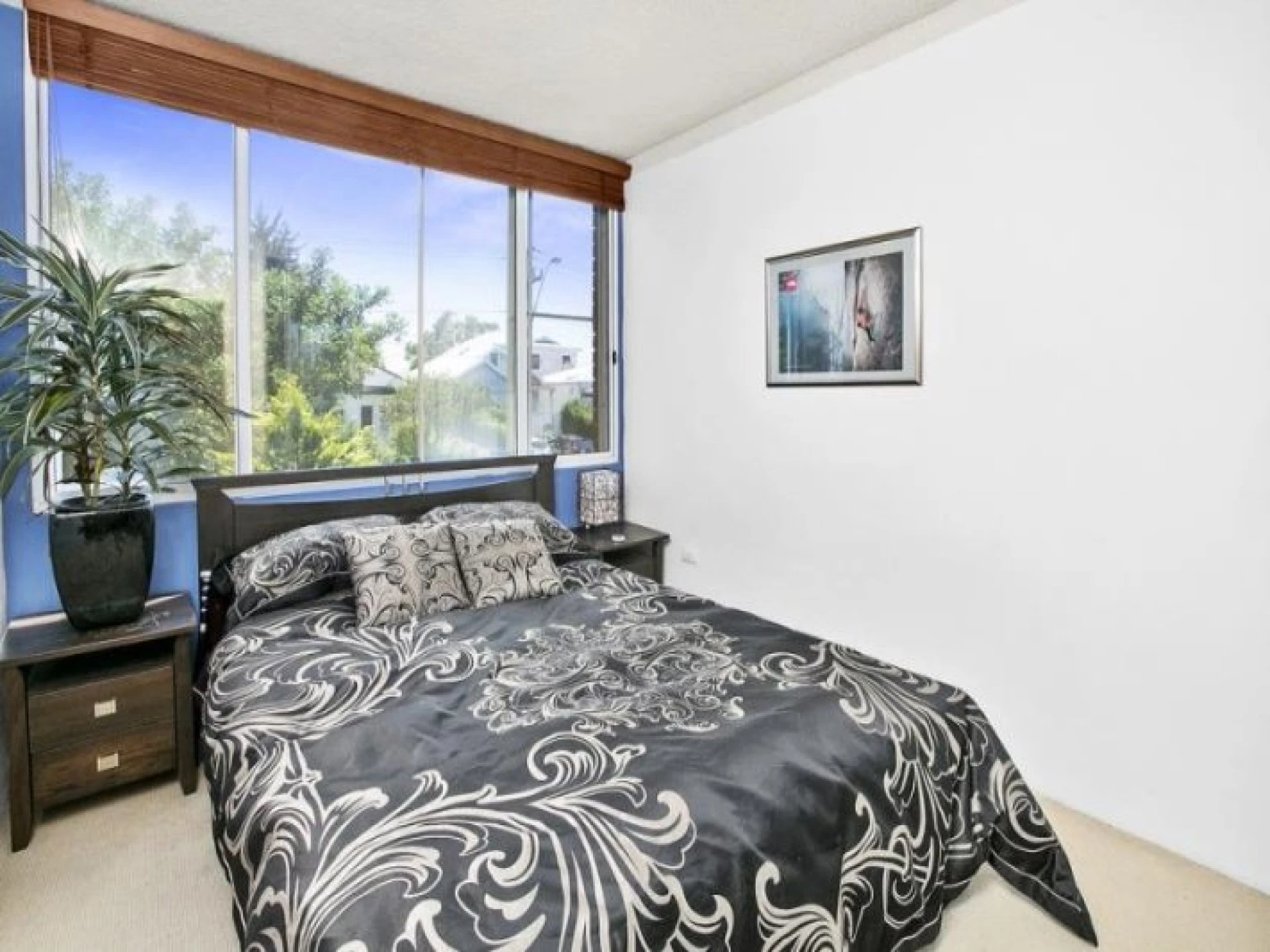 14 / 94 Lawrence Street, Freshwater NSW 2096, Freshwater - Thumbnail 4