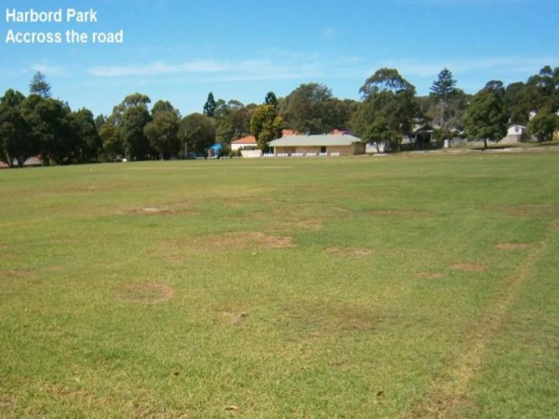 6 / 56 Wyadra Avenue, Freshwater NSW 2096, Freshwater - Thumbnail 3