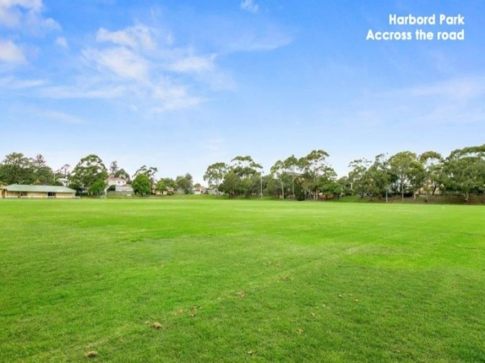23 Robert Street, FRESHWATER NSW 2096, Freshwater - Thumbnail 3