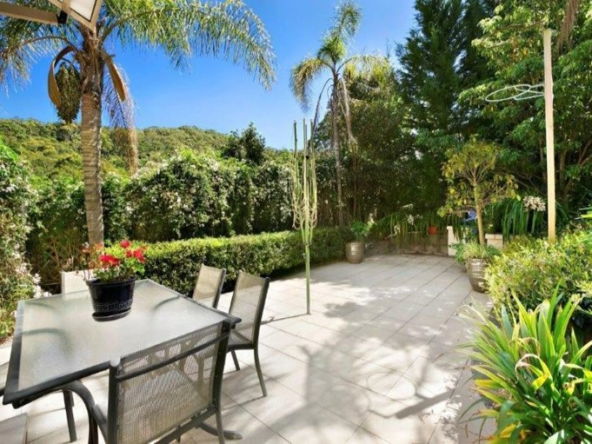 56 Macquarie Street, CROMER NSW 2099, Cromer - Thumbnail 2