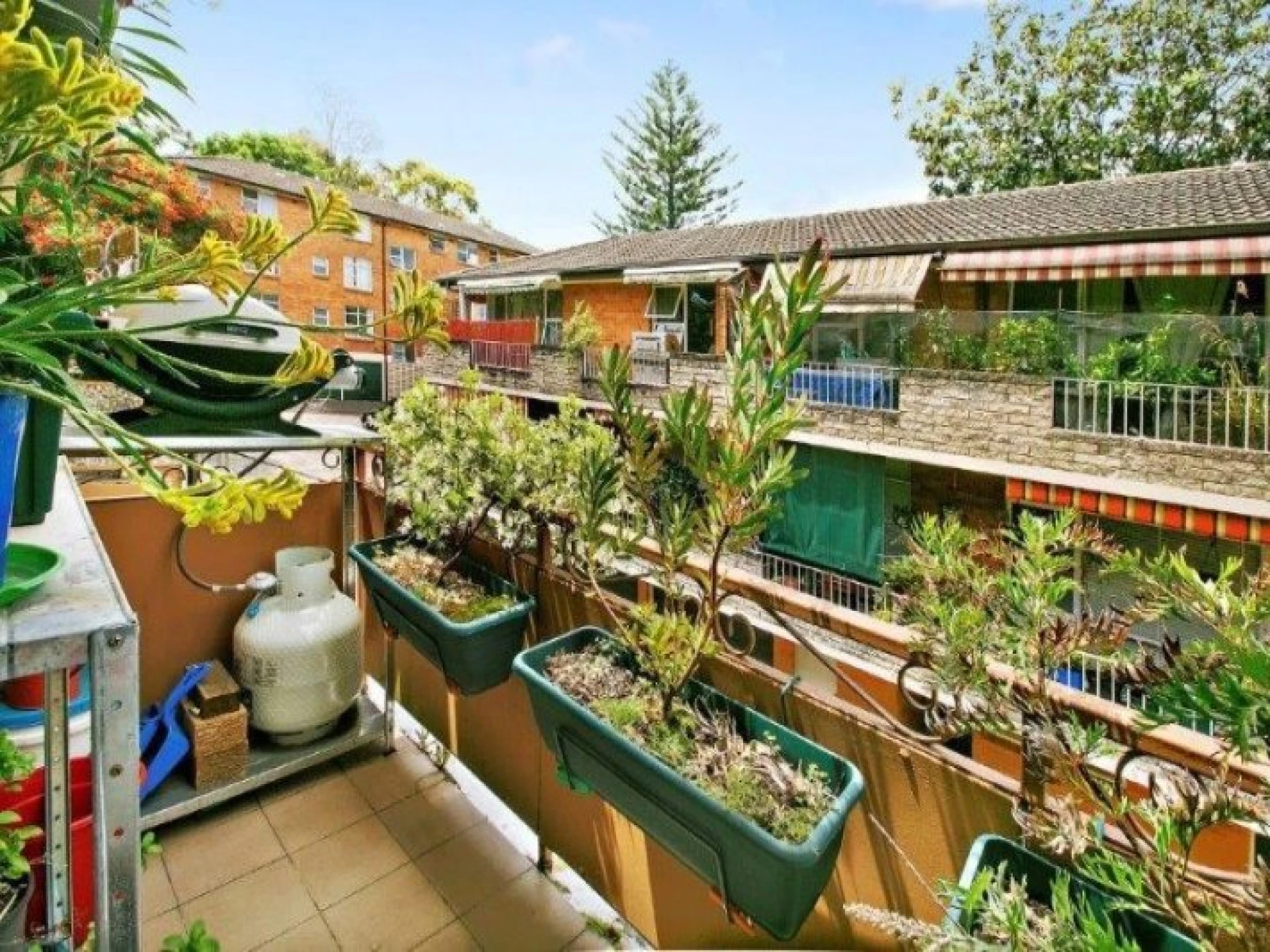 9 / 23 Redman Road, Dee Why NSW 2099, Dee Why - Thumbnail 4