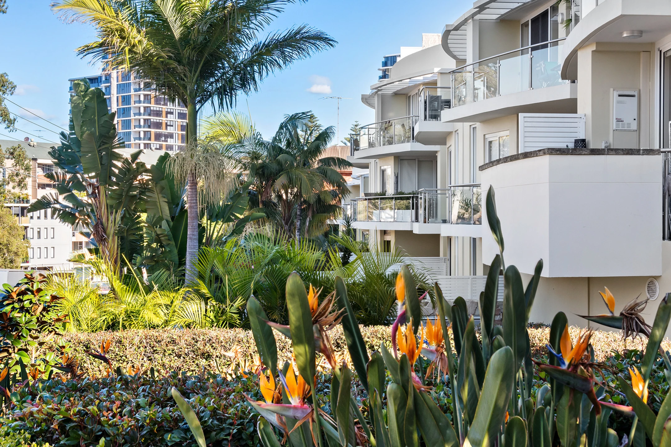 14 / 4 Kingsway, Dee Why NSW 2099, Dee Why - Thumbnail 6
