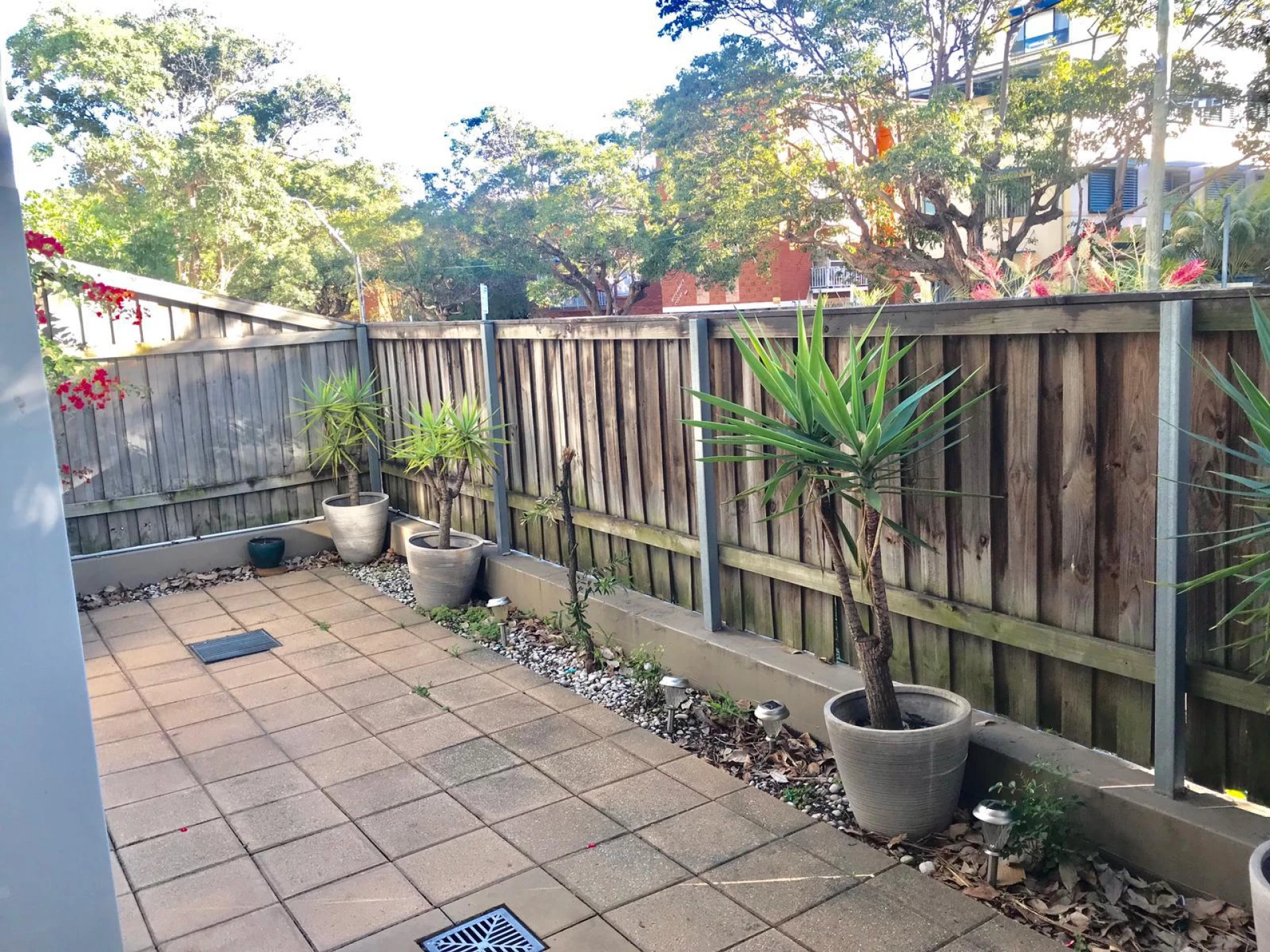 C1 / 31-37 Pacific Parade, Dee Why NSW 2099, Dee Why - Thumbnail 5