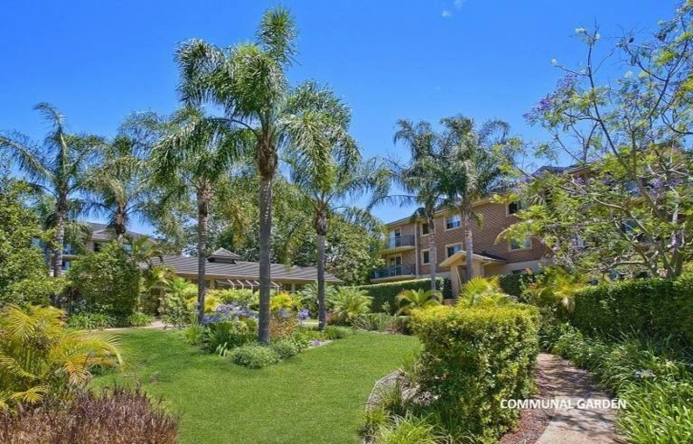 102 / 8 Koorala Street, Manly Vale NSW 2093, Manly Vale - Thumbnail 6