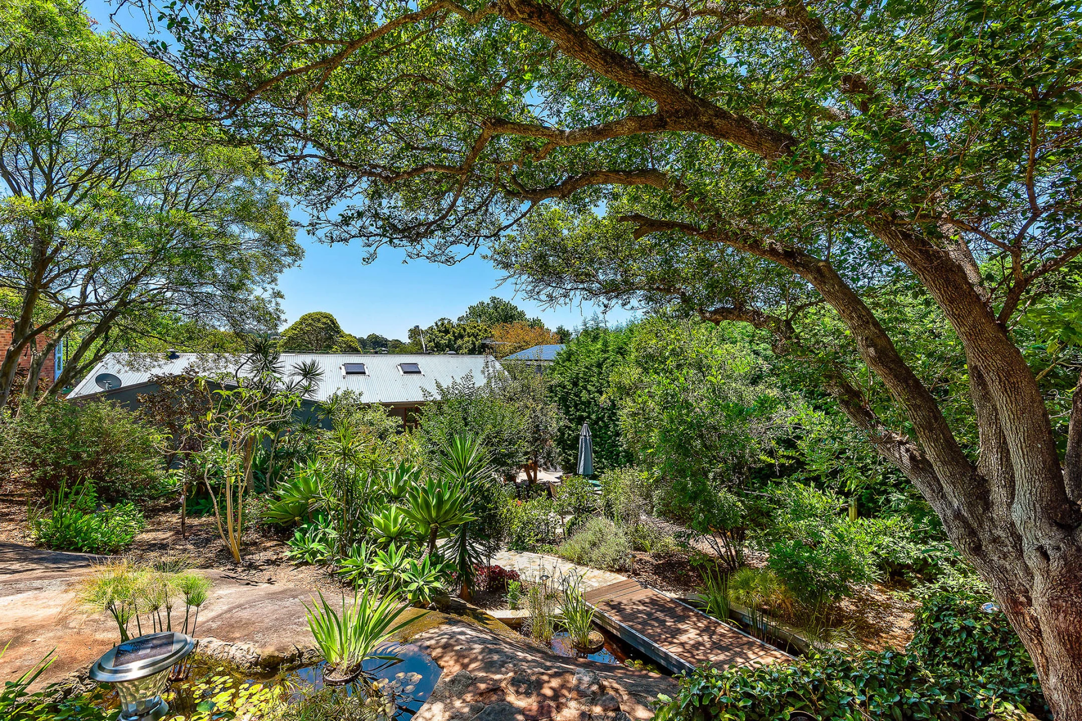 26 MacMillan Street, Seaforth NSW 2092, Seaforth - Thumbnail 6